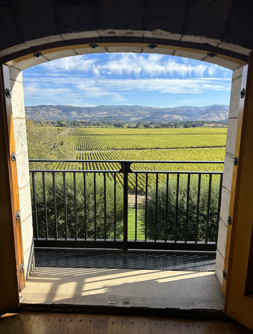 vineyard in napa valley
