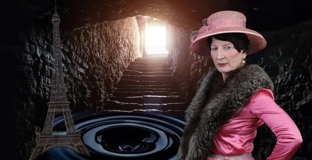 Die Irre von Chaillot