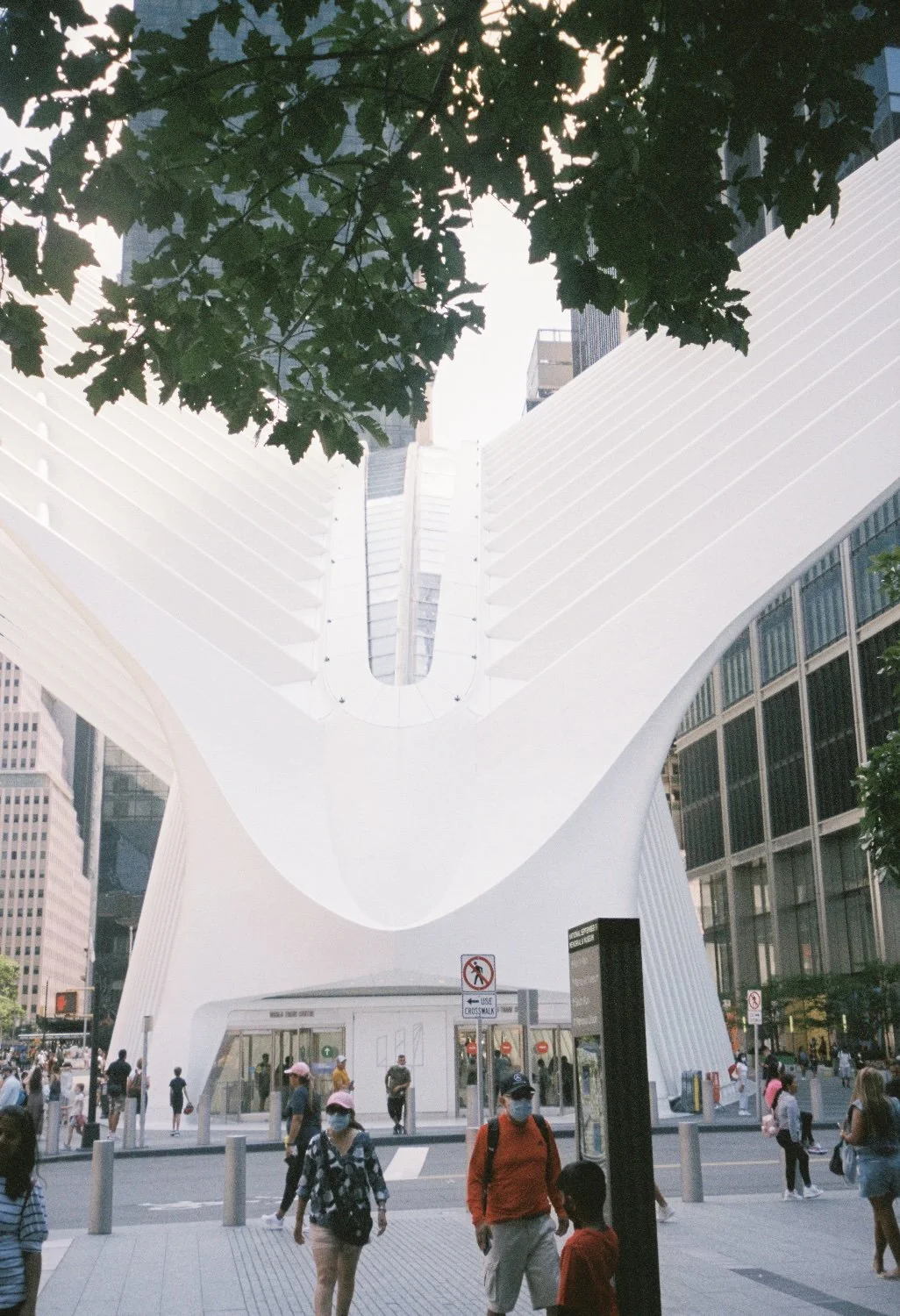 Oculus. NewYork NY. 2023.
