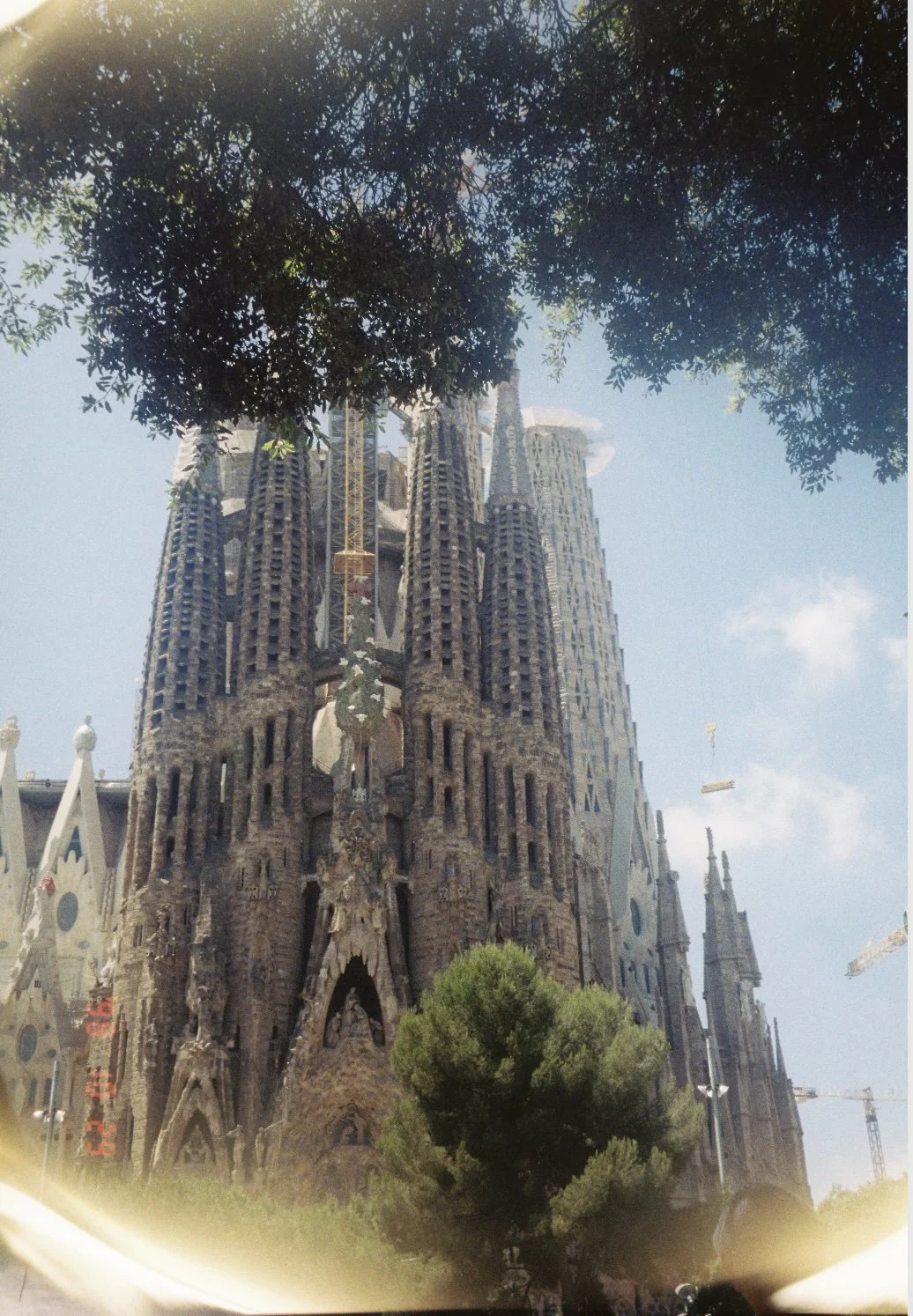 Sagrada. Barcelona ES. 2019.