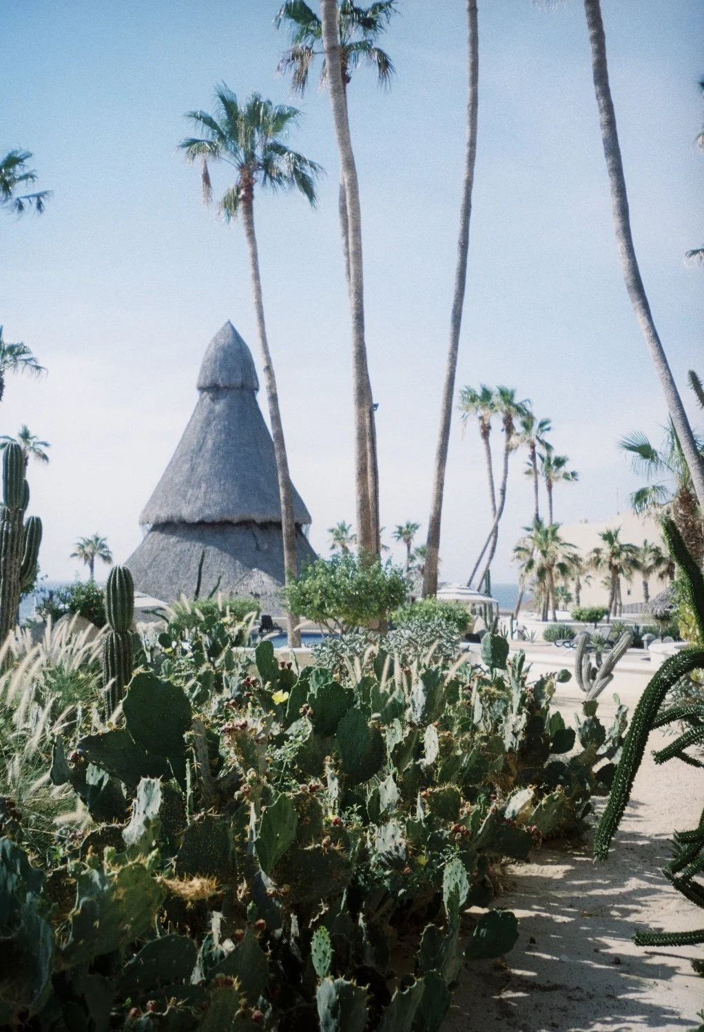 Invisible Footsteps 1. Cabo San Lucas MX. 2022.