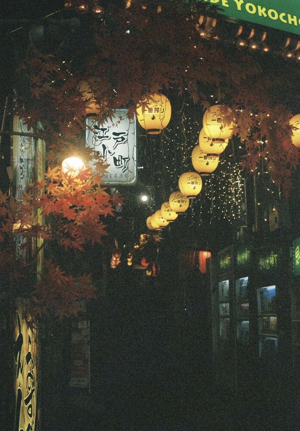 Tokyo Nights. Tokyo JP. 2023.