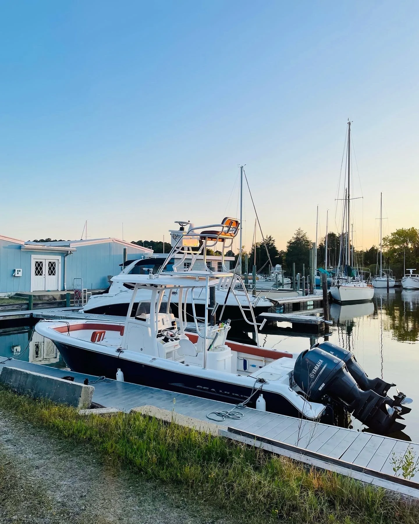 Fishing Charters
