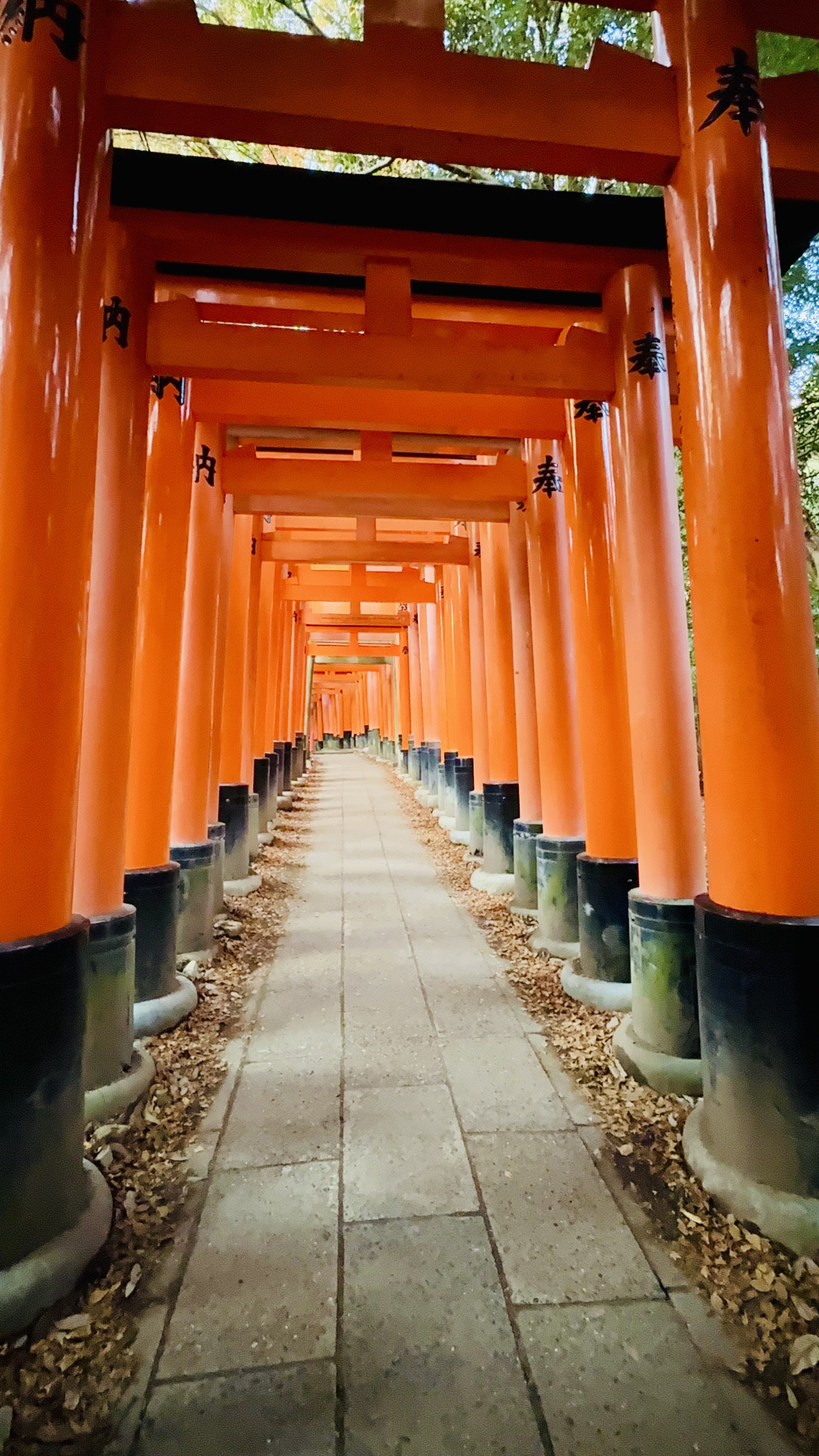 Fushimi Inari Taisha Shrine