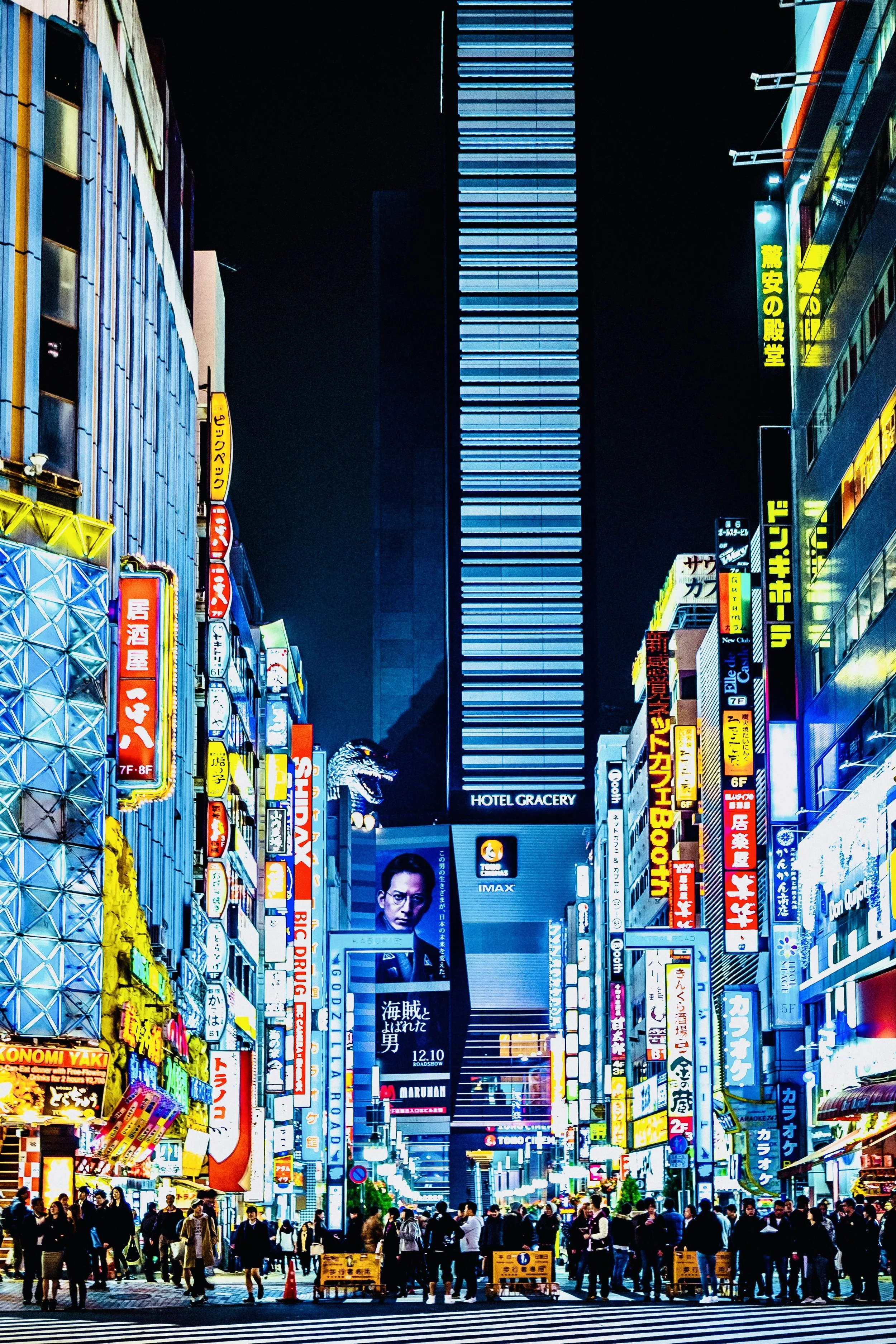 Shinjuku Kabukicho at Night