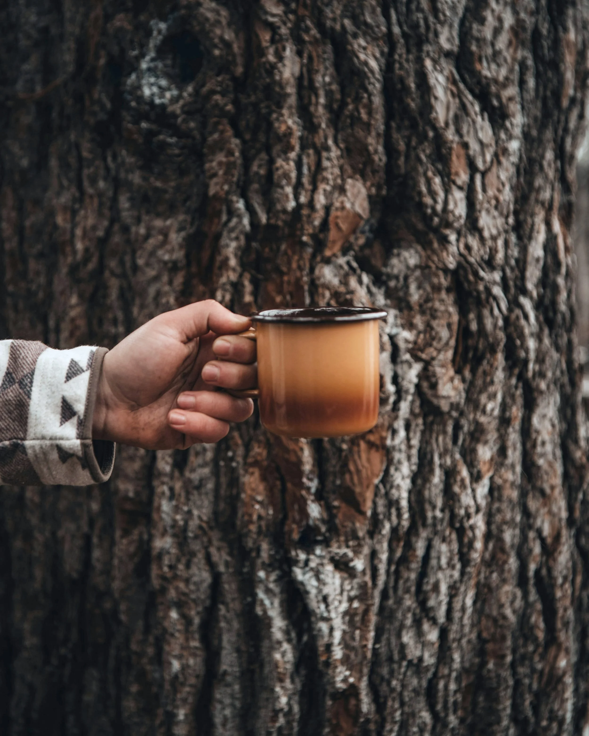 arm holding coffee mug in front of tree