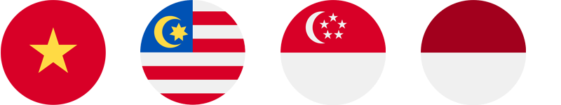 Flags of Vietnam, Malaysia, Singapore, and Indonesia.