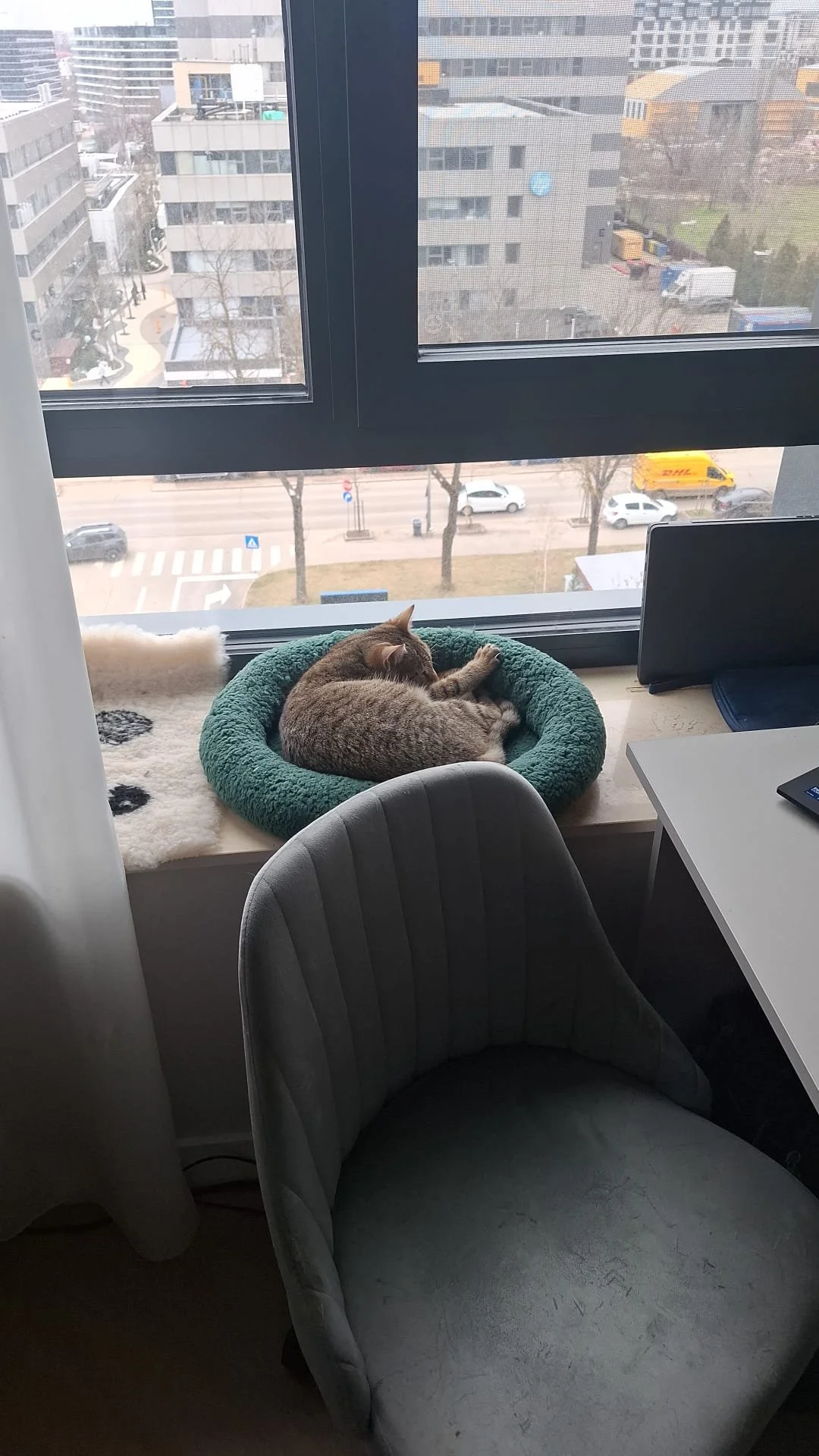 The Night Shift and the Park