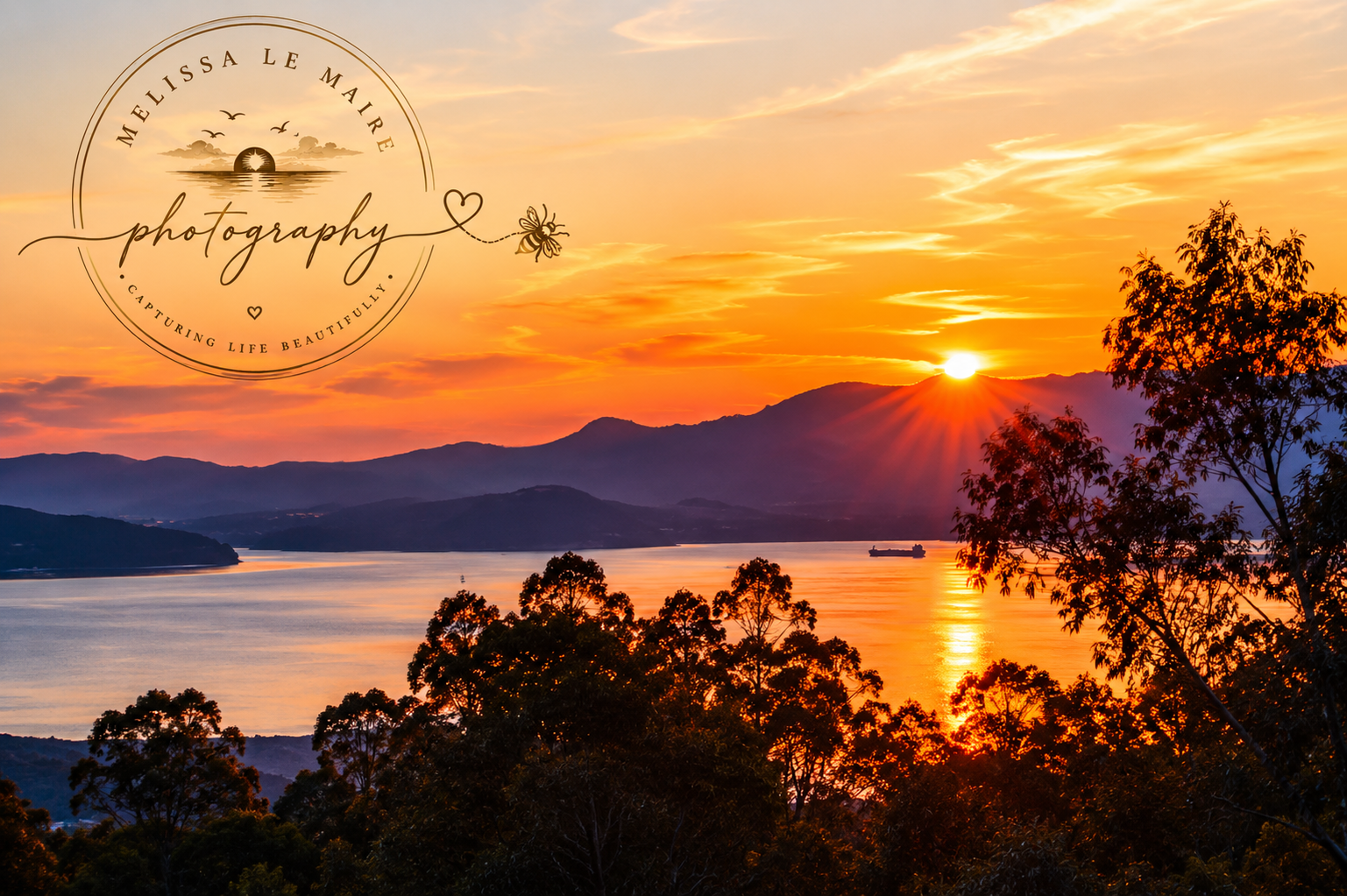 Discovering the Beauty of San Ramon, California