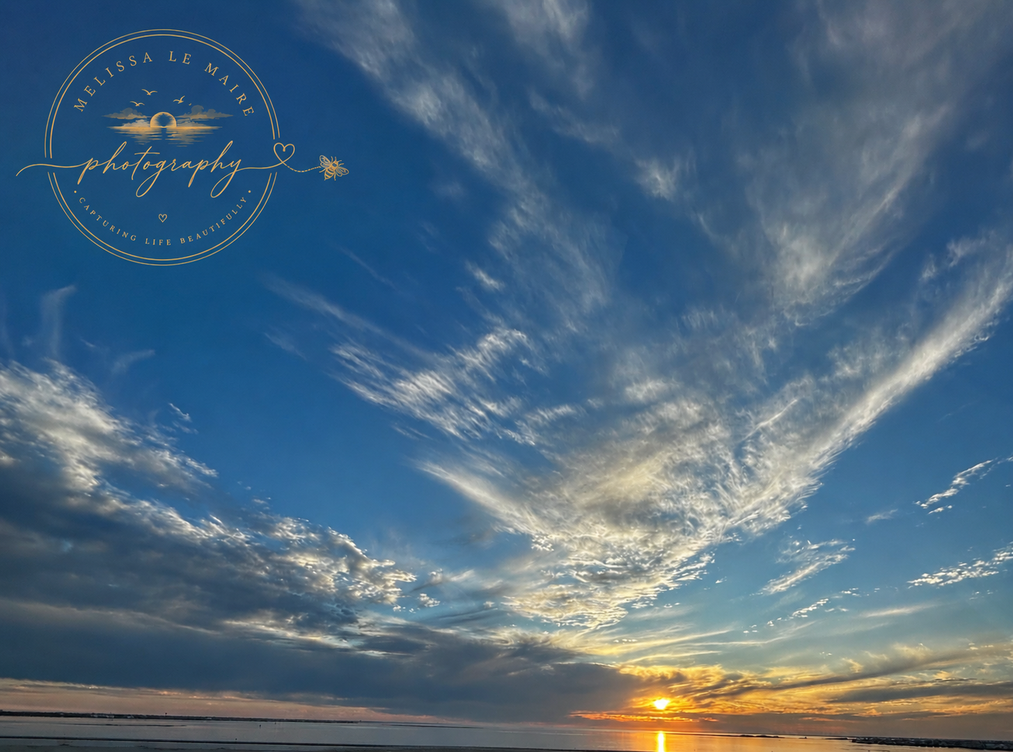 Discover Galveston: Beaches, Historic Charm, and Island Adventures