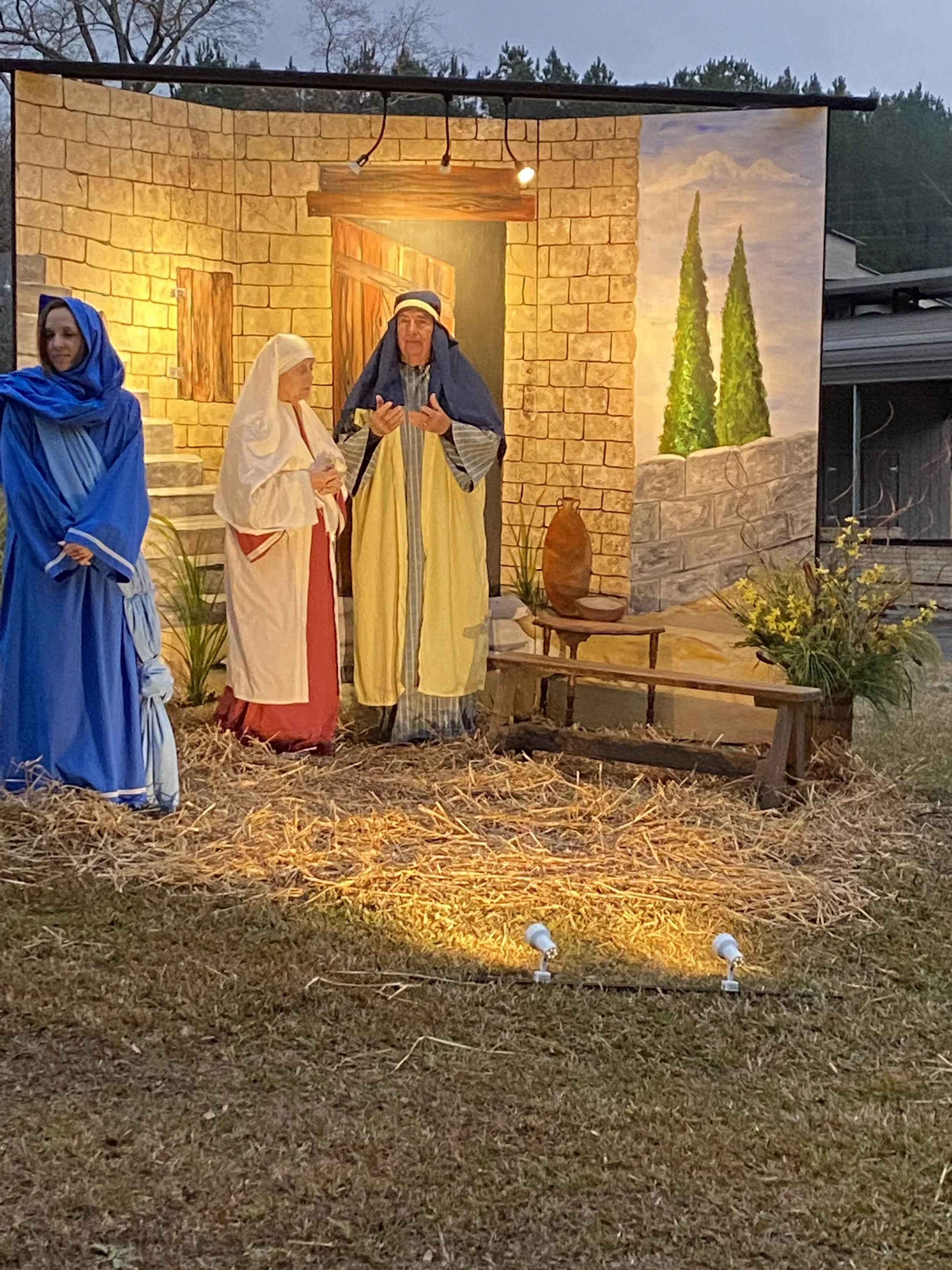 Mary at Elizabeths 4.jpeg