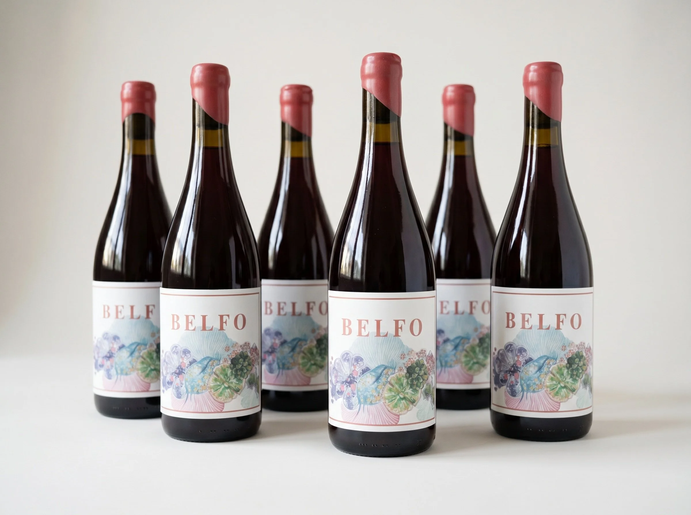 6-BELFO-P-23.jpg
