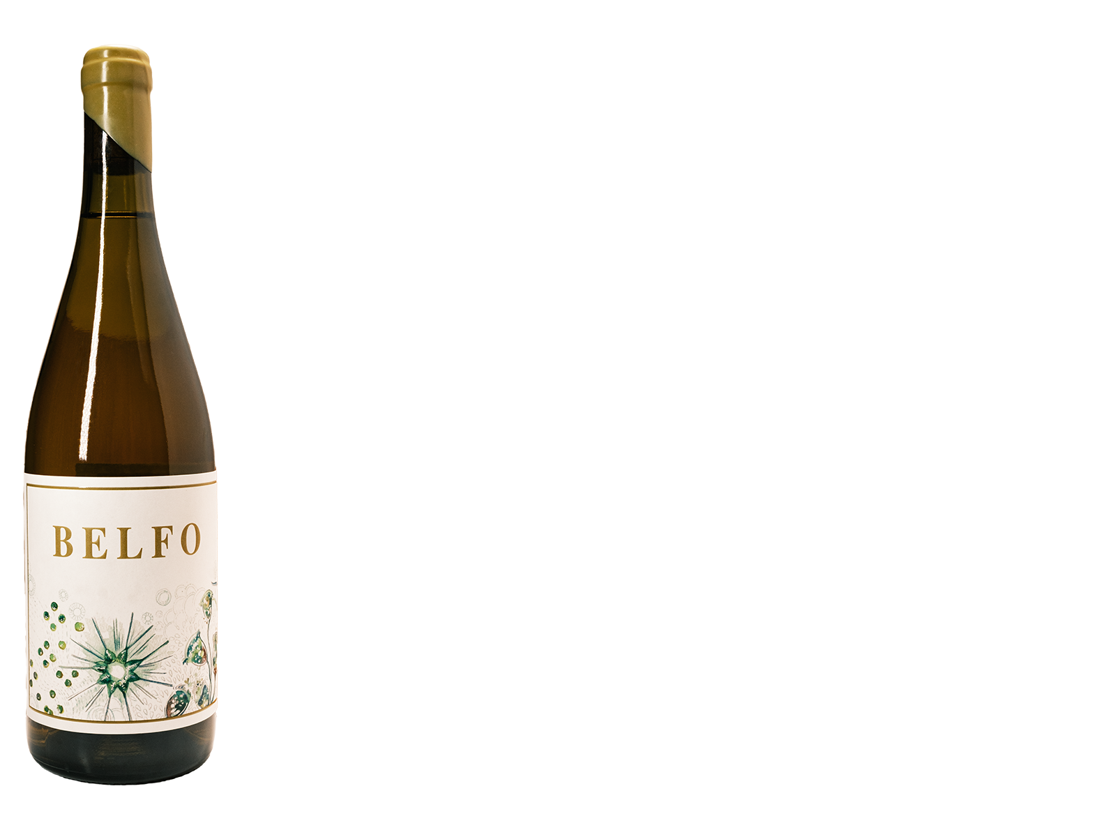 Belfo Branco '23