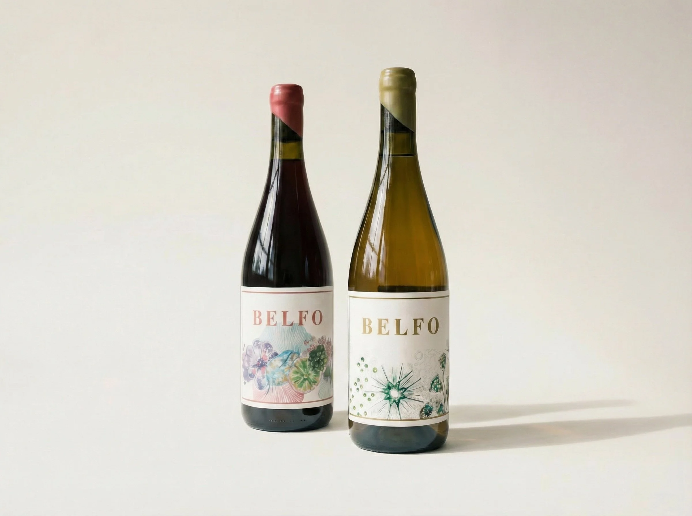 Belfo (6 Garrafas) | 3x [ Palhete'23 + Branco'23 ]