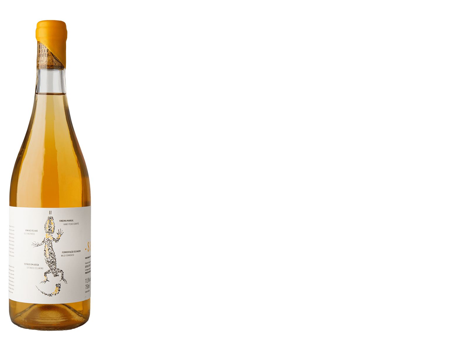 AWC Saroto Branco '19