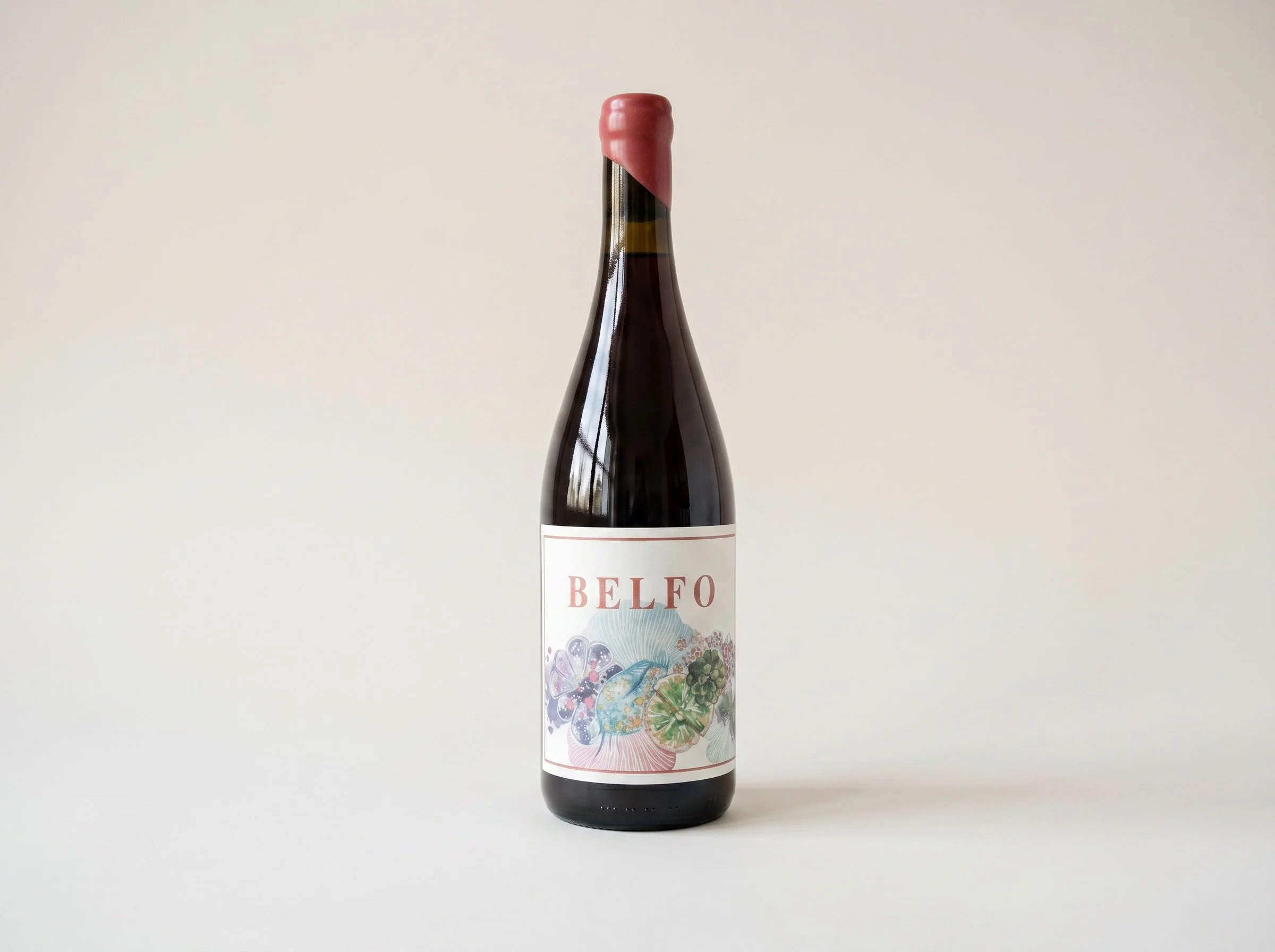 1-BELFO-P-23.jpg