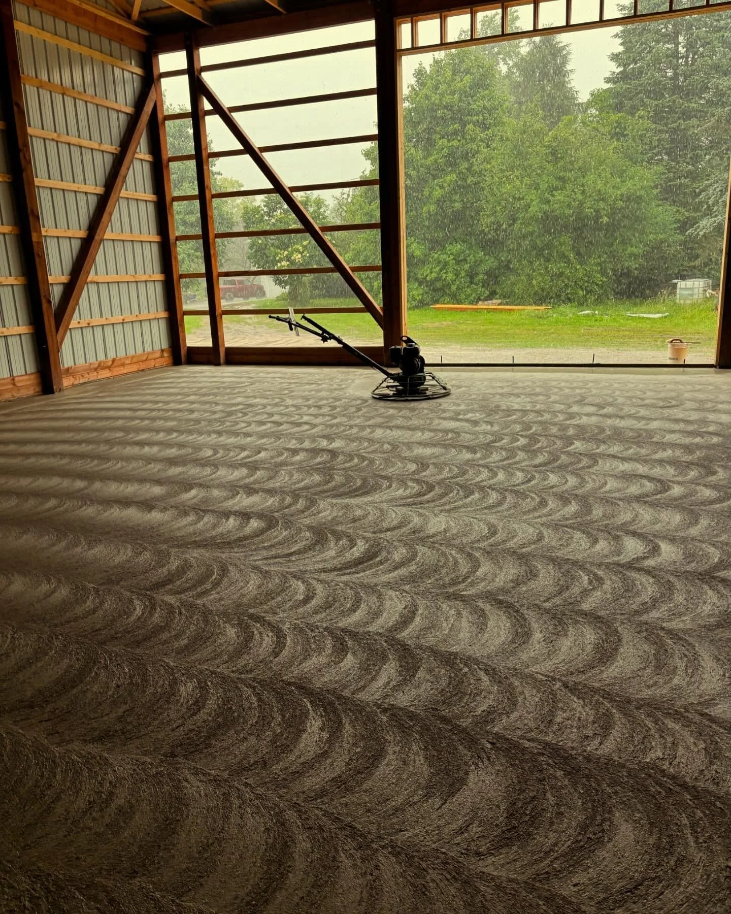 Interior of a building with a large window showing green trees outside, with a floor polishing machine on newly polished patterned carpet.