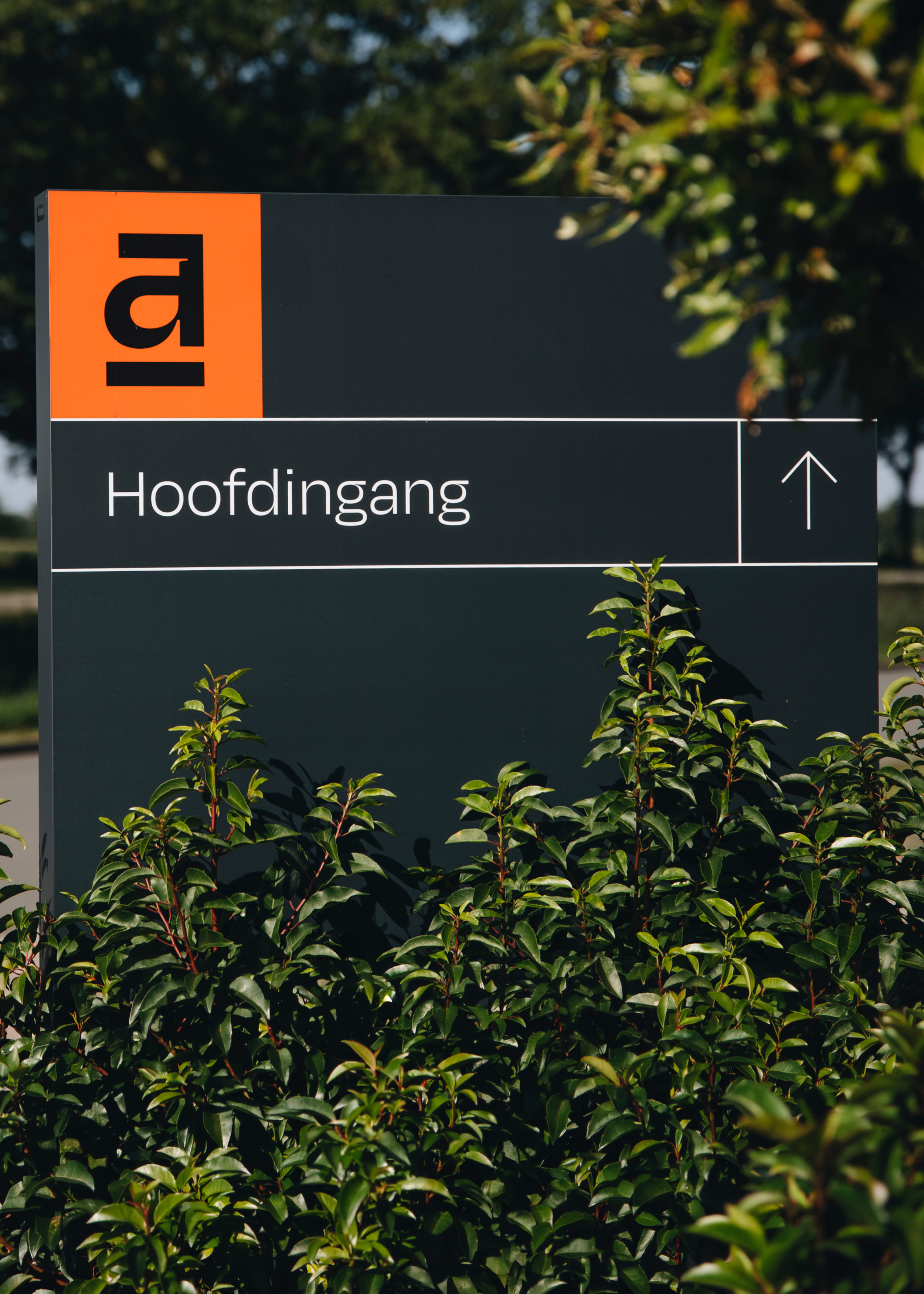 Sign with Dutch word 'Hoofdingang' indicating main entrance, with instructions to go straight ahead, surrounded by greenery.