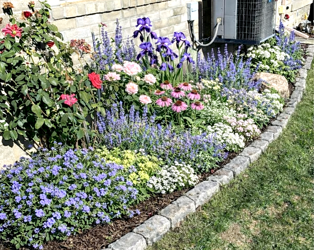 Colorful flower garden with various blooming flowers including purple, pink, white, and red, bordered by a stone edge against a brick wall.