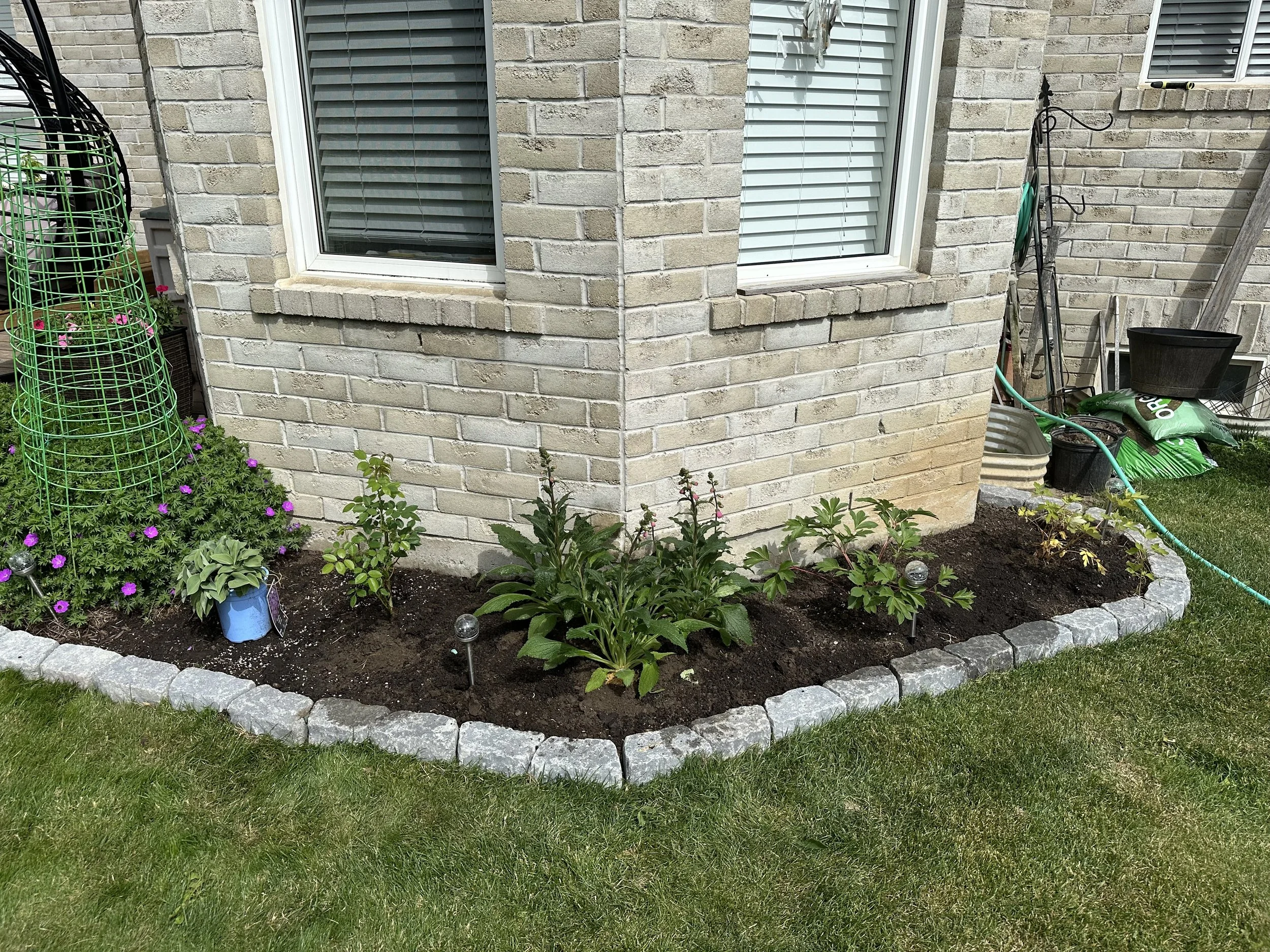 Garden bed with plants and flowers along the side of a brick house, bordered with gray stone bricks, with gardening tools and supplies nearby.