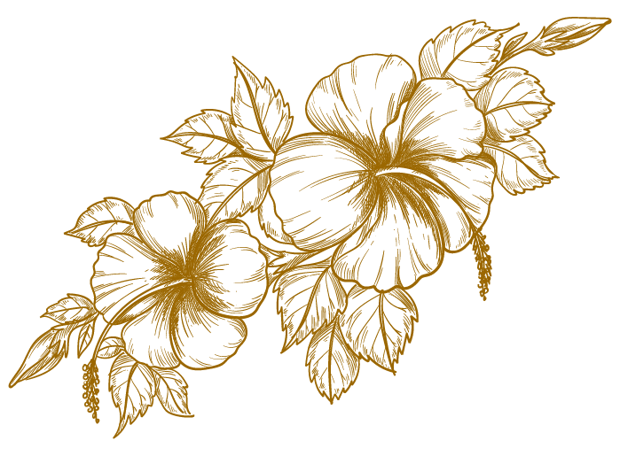 Decorative illustration of two pumpkins with leaves and vines in gold color on a black background.