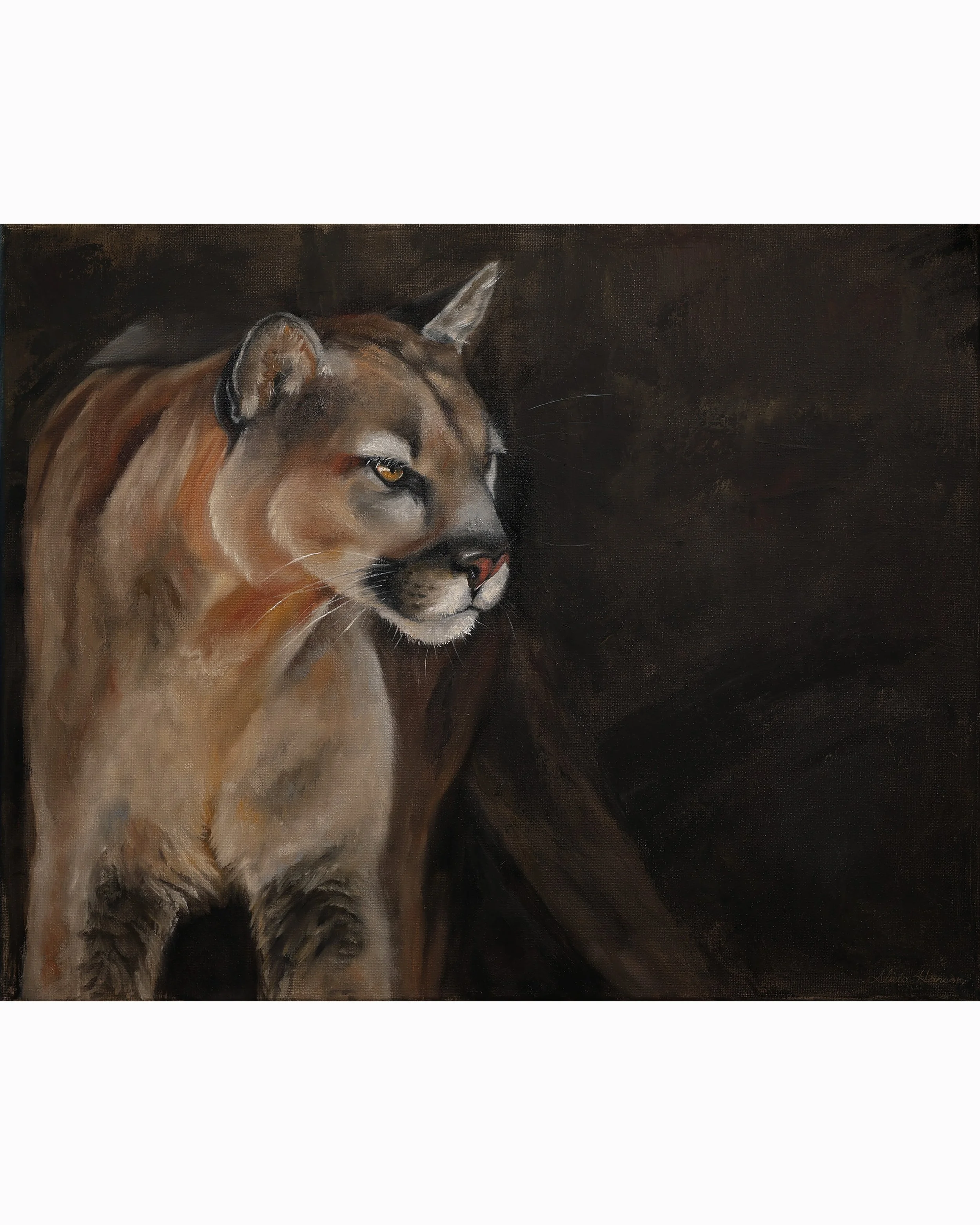 alicia-hanson-before-you-see-her-mountain-lion-oil-painting.jpg