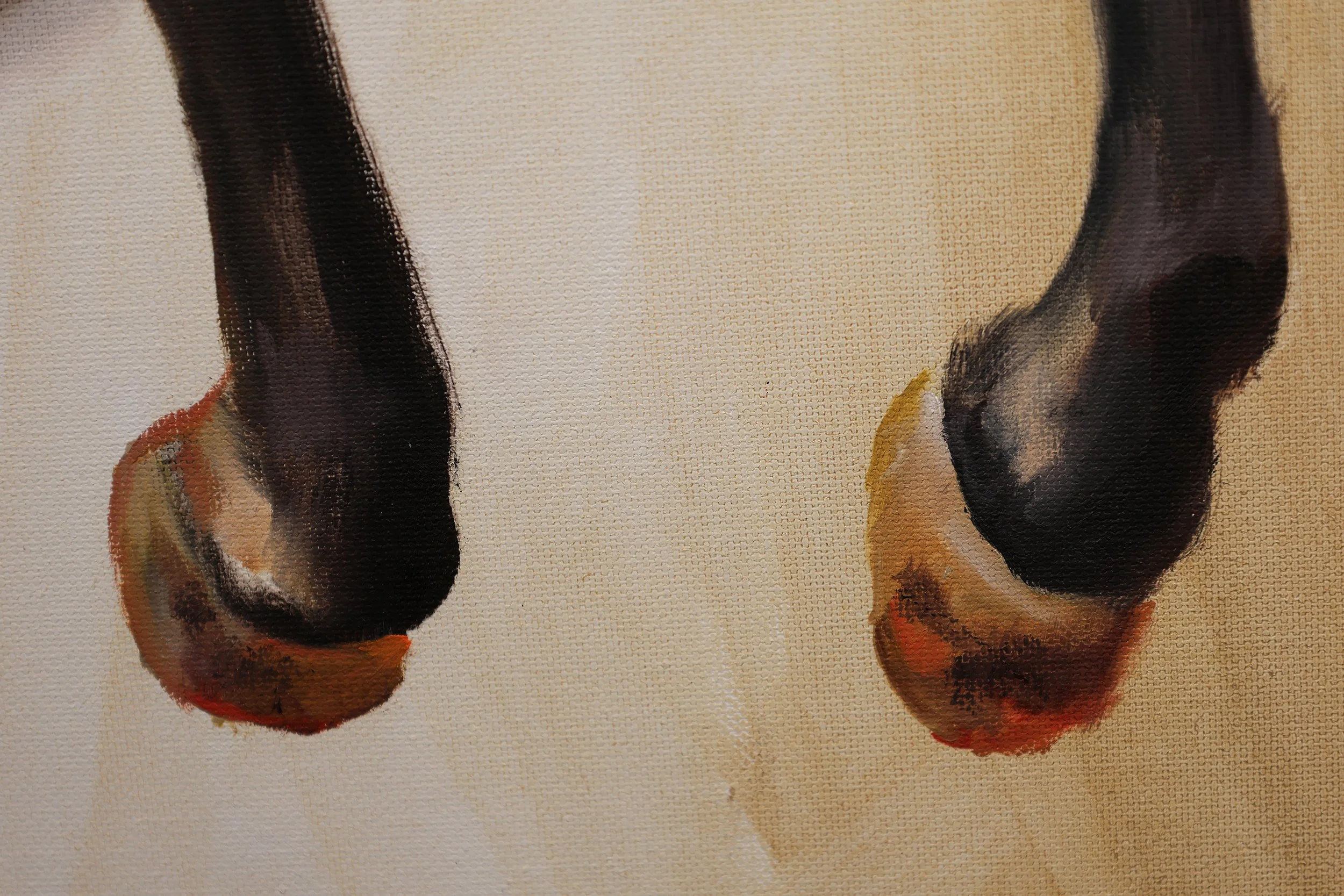 Shadow_and_Sheen_3.jpg (Copy)