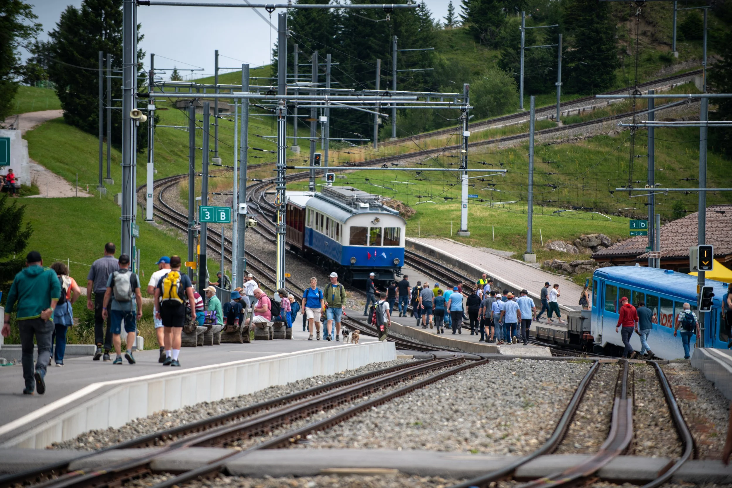 S-Bahn fährt aus einem Bahnhof, im Hintergrund viele Passagiere auf dem Bahnsteig, umgeben von grüner Natur, mit Bahnlinien und Stromleitungen über den Gleisen.
