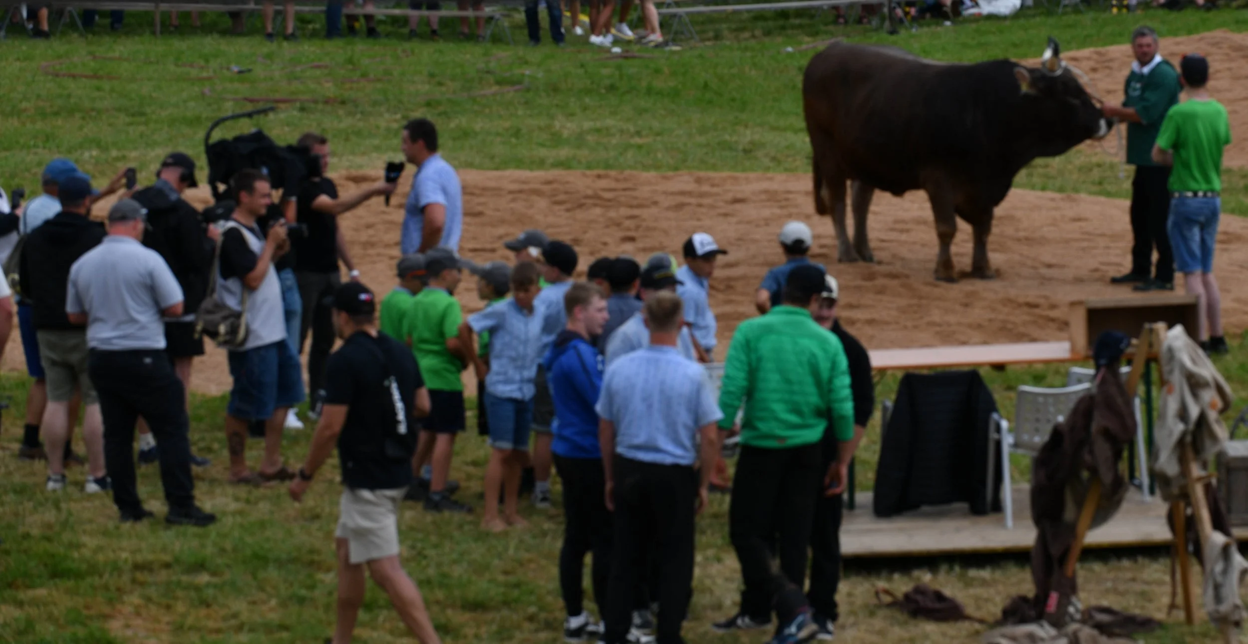 Ein Bulle steht auf einer Bühne, umgeben von Menschen bei einem Event, während zwei Männer ihn streicheln.