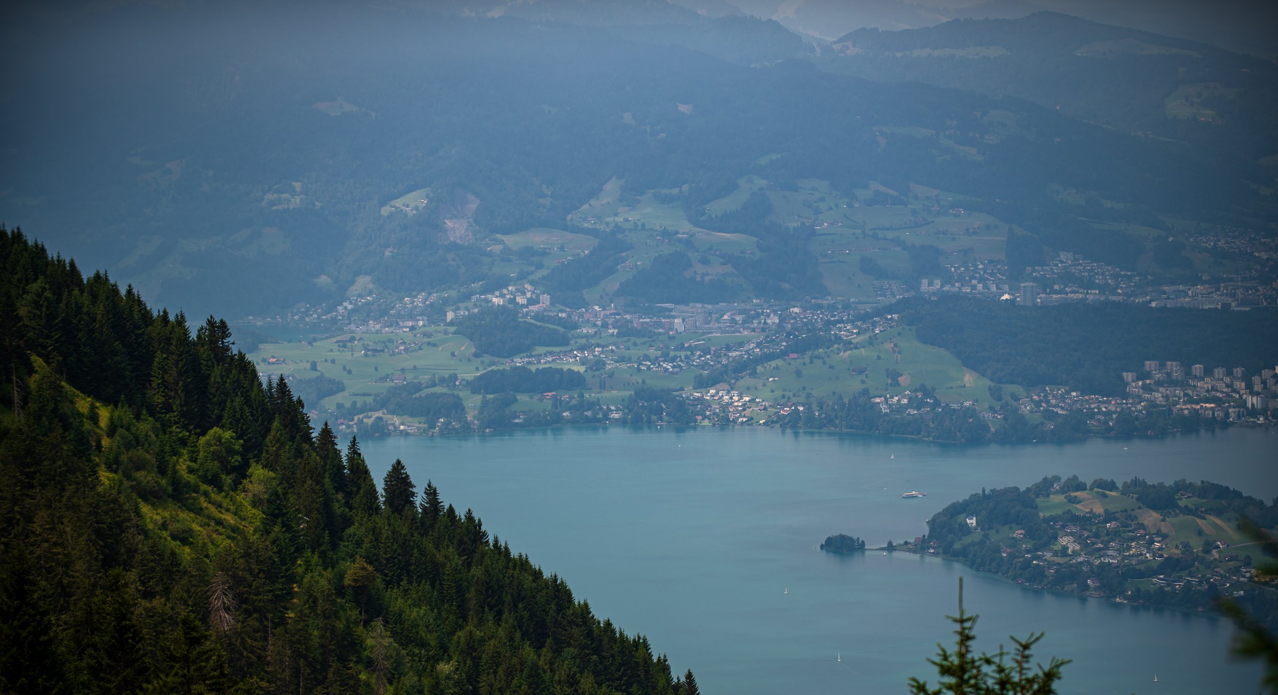 Blick auf einen See mit umgebenden grünen Hügeln und Bergen, im Vordergrund dichte Waldvegetation.