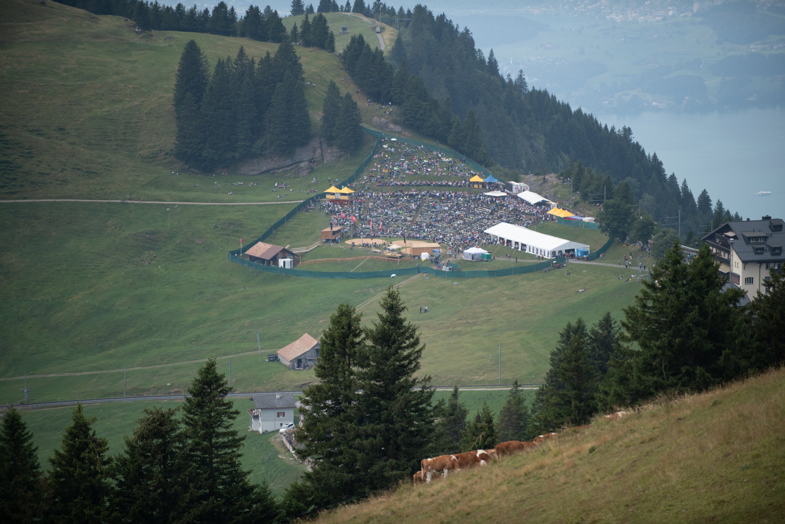 Bergwiese mit Schafen im Vordergrund, große Menschenmenge bei einem Festival oder Event auf einer Wiese, umgeben von Wäldern und Hügeln, mit Wasser im Hintergrund, bewölkter Himmel.