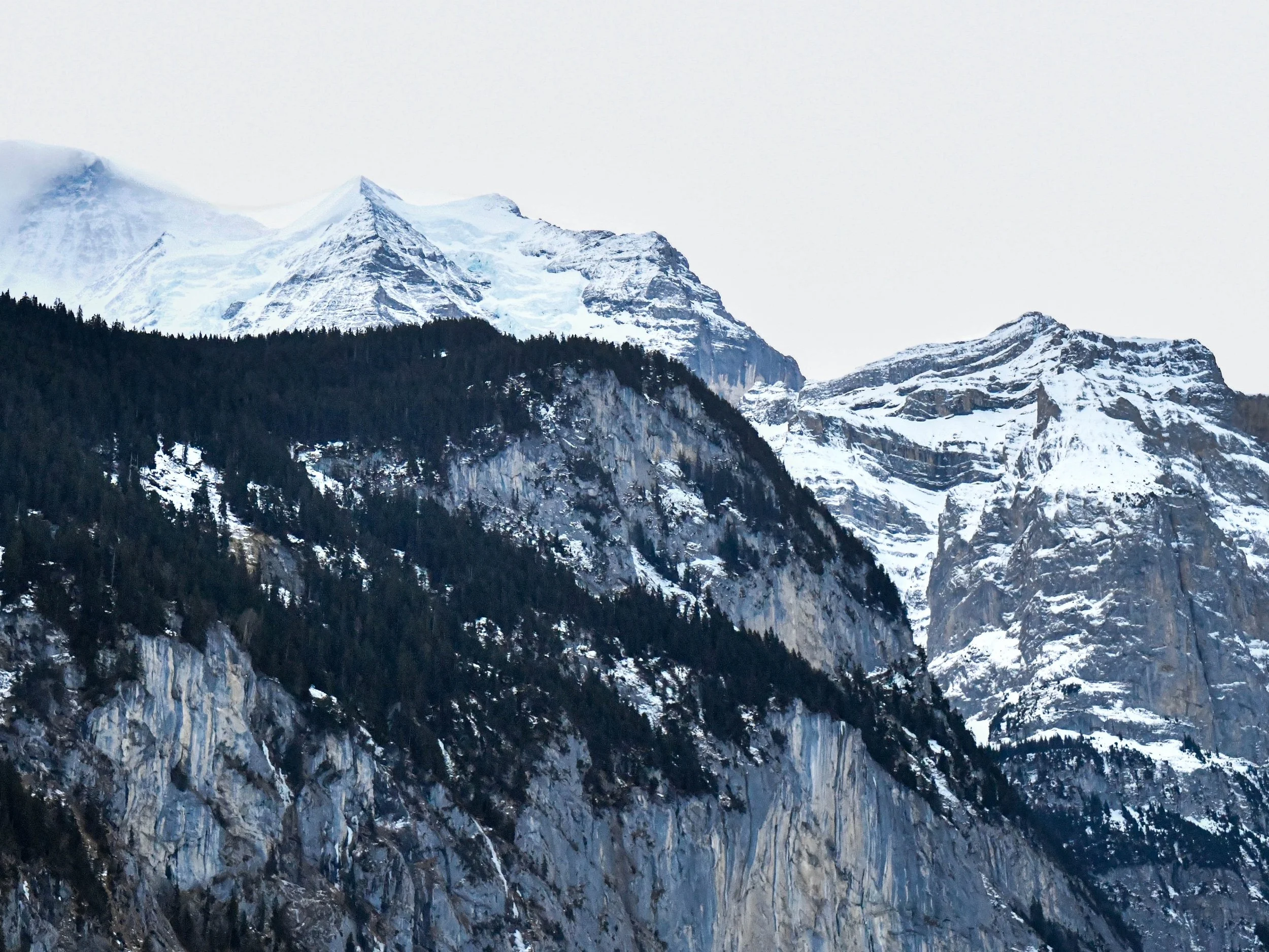 Bergpanorama der Schweizeralpen