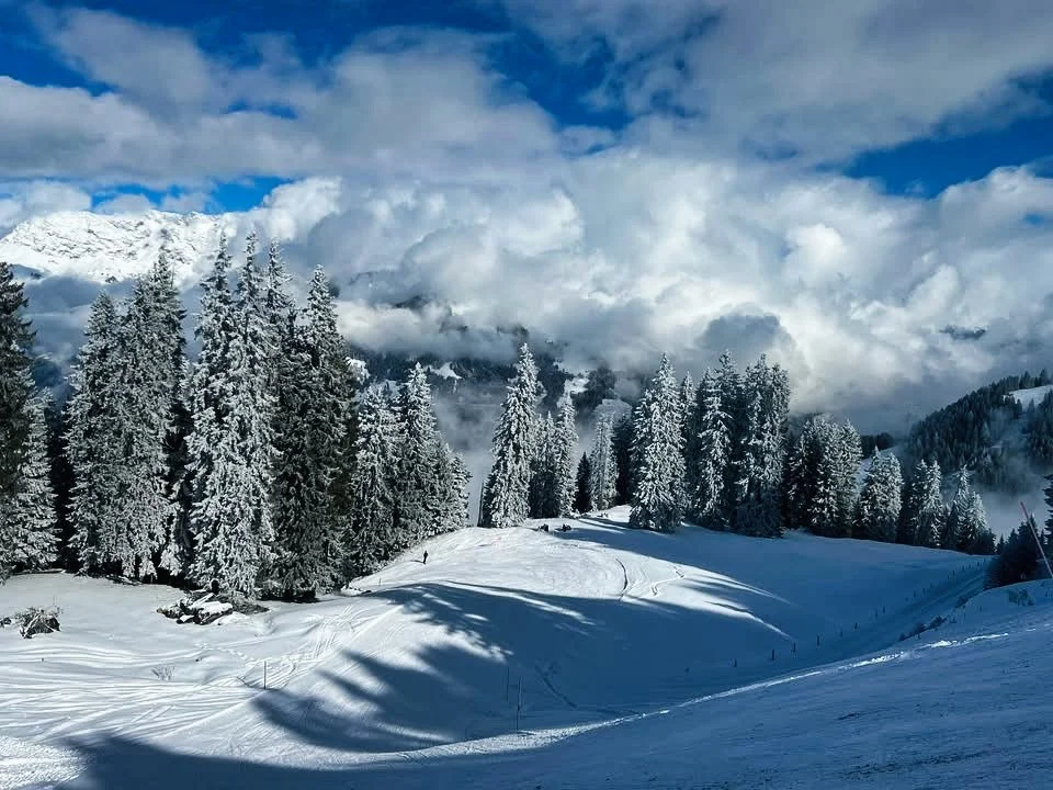 Verschneite Winterlandschaft Schweizeralpen