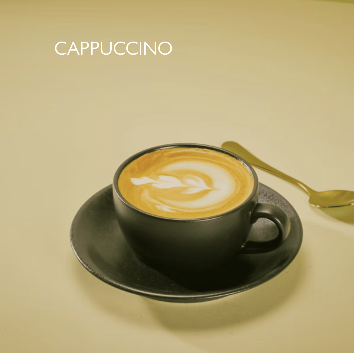 CAPPUCCINO 123 kcal 4.25
