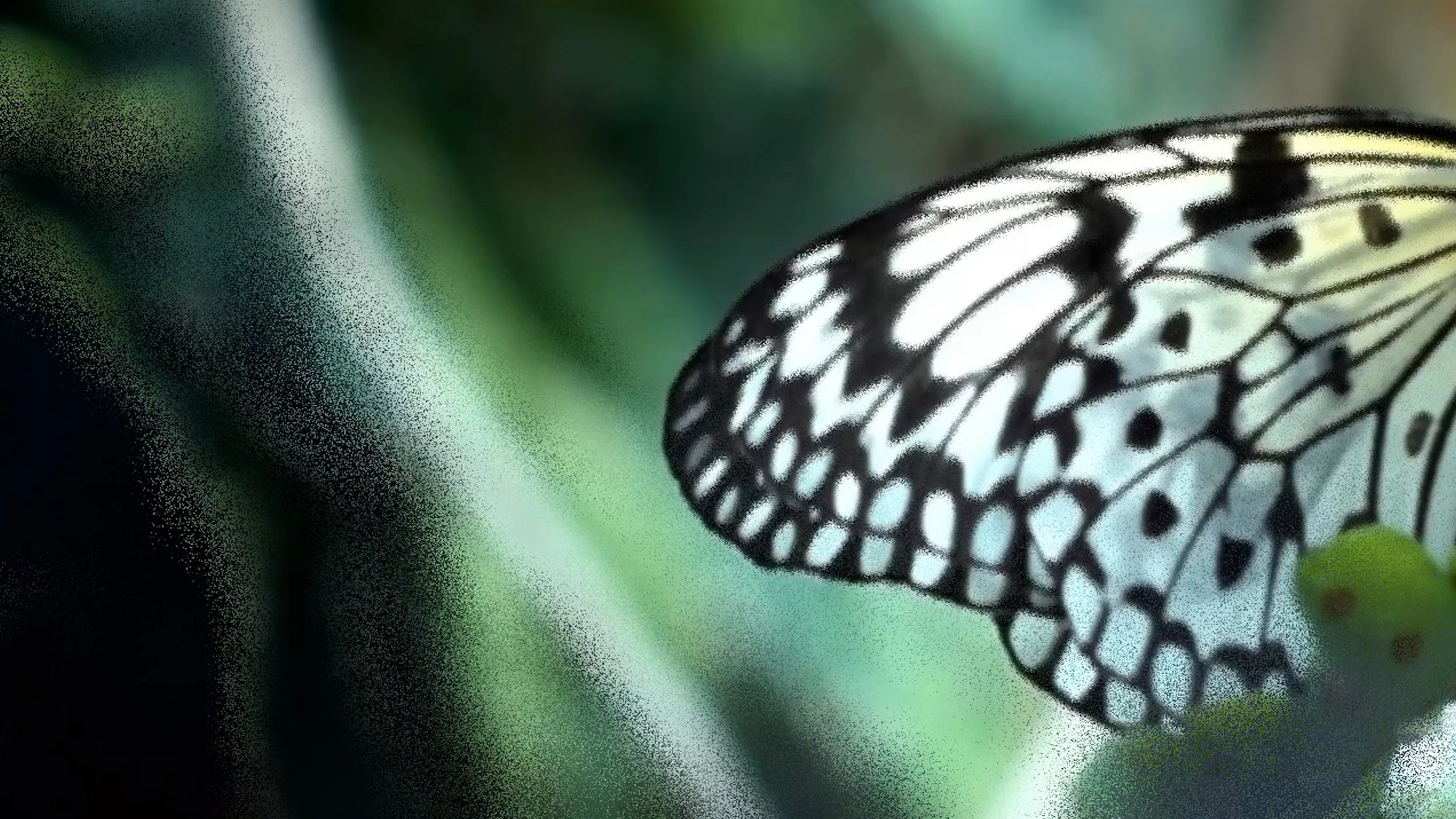 Film by Buba Beboshvili - Flux