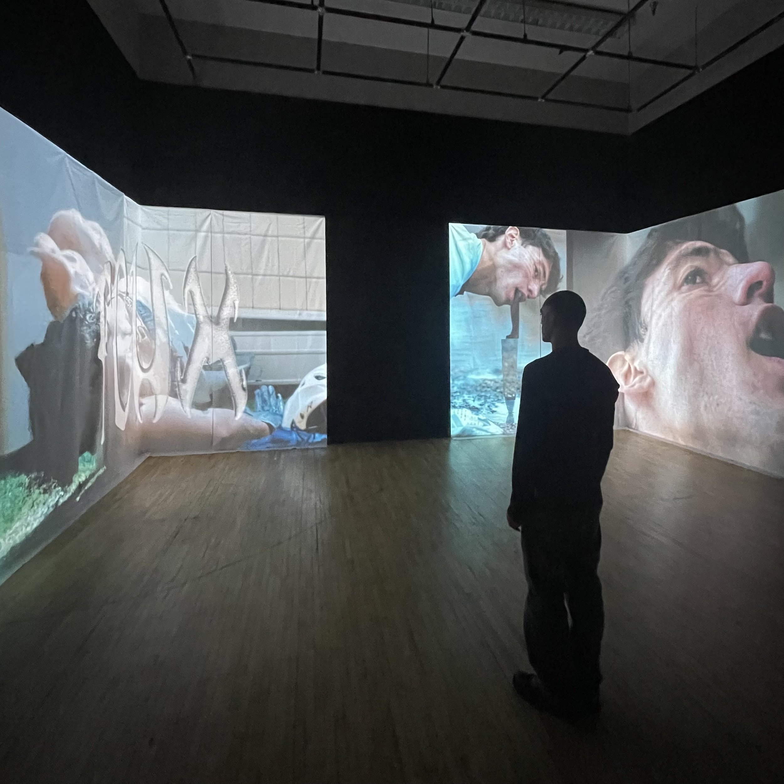 Video installation by Buba Beboshvili - Flux - Chicago