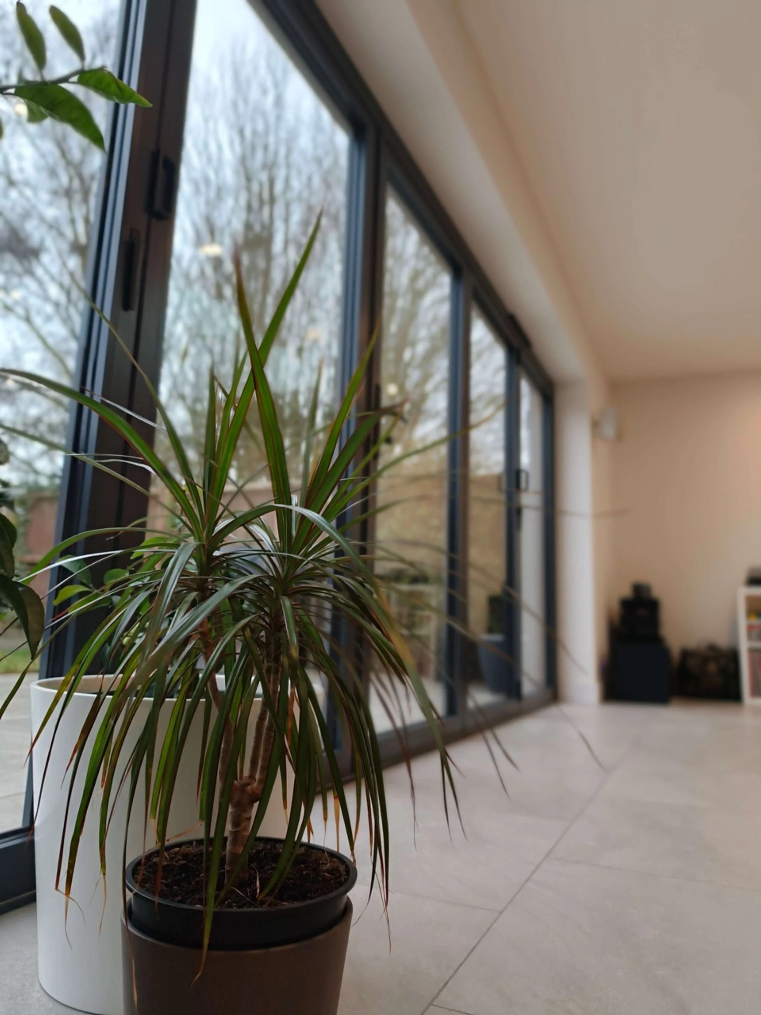 Aluminium floor to ceiling bi-fold doors leading to a paved tarrace.