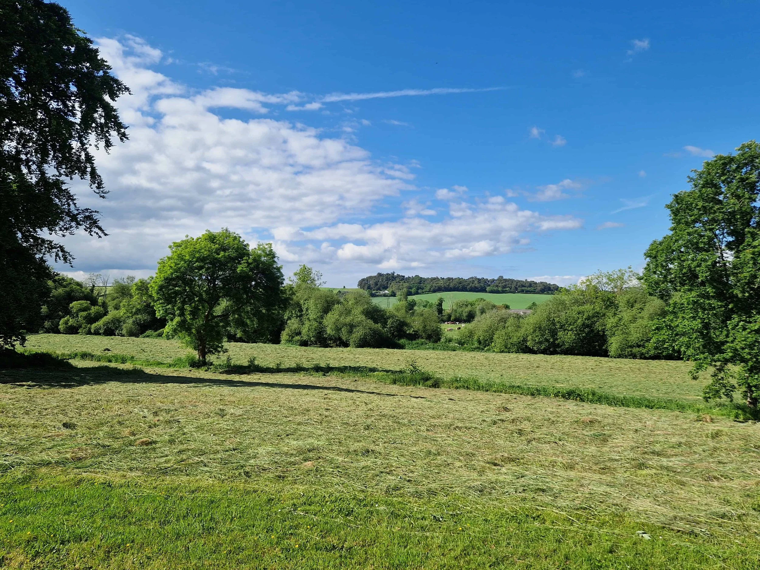 Open grassy field in conservation area and ANOB with trees at the edges and a hilly landscape in the background under a blue sky with scattered clouds.