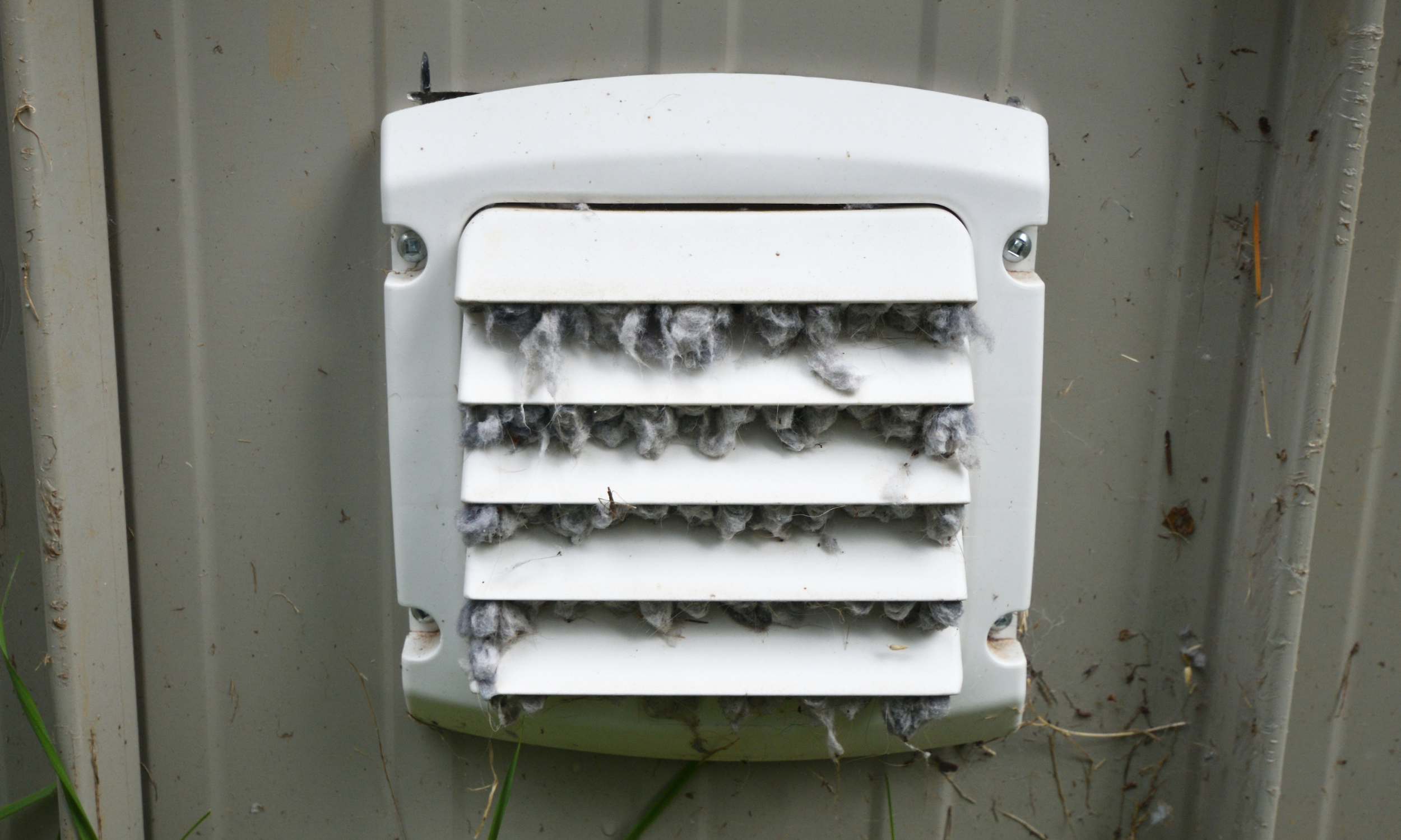 An outdoor vent cover with blades covered in grey and white insulation or animal fur, mounted on a pale green wall with some grass and dirt nearby.