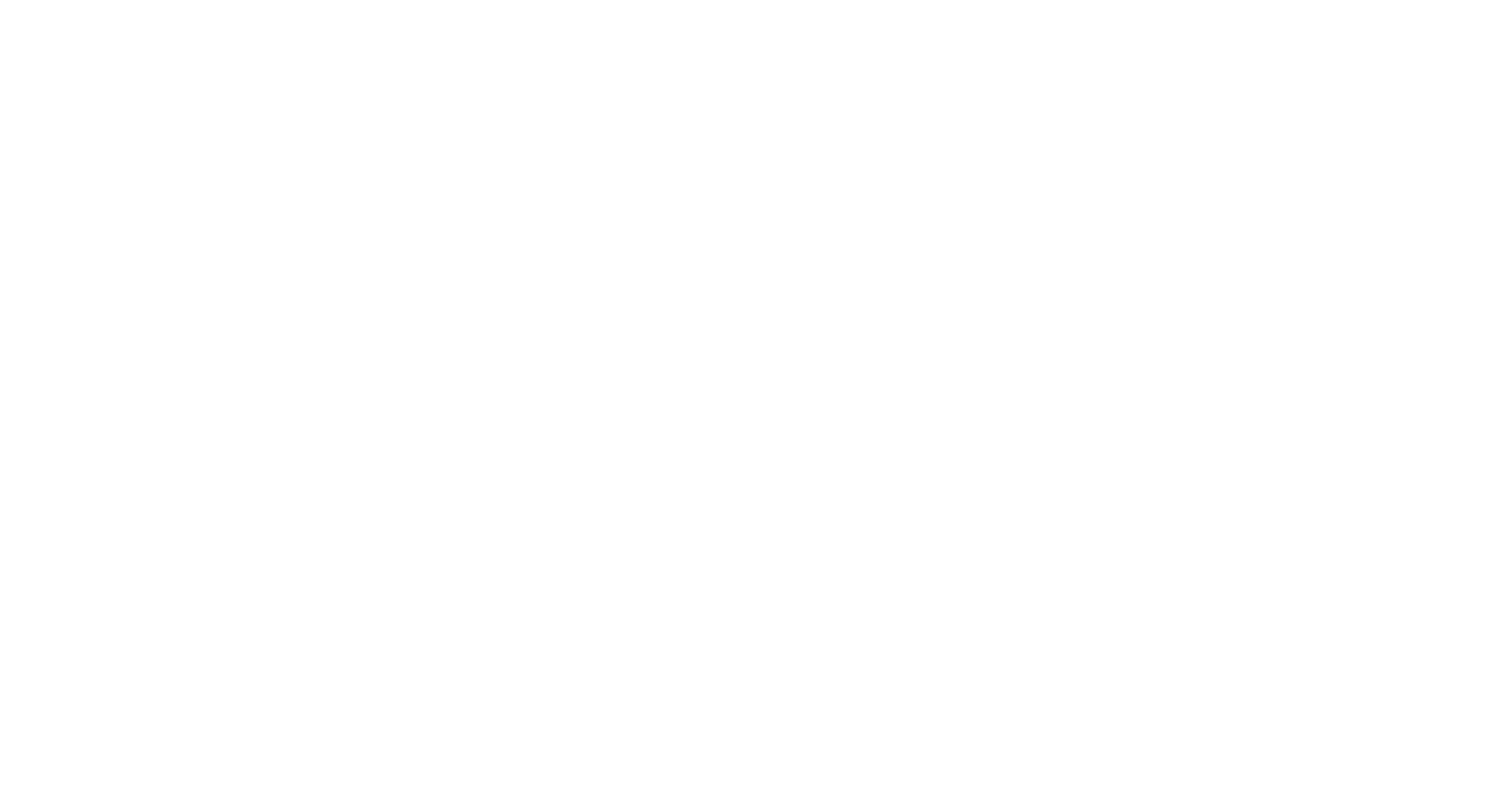 GOVTECH PARTNERS