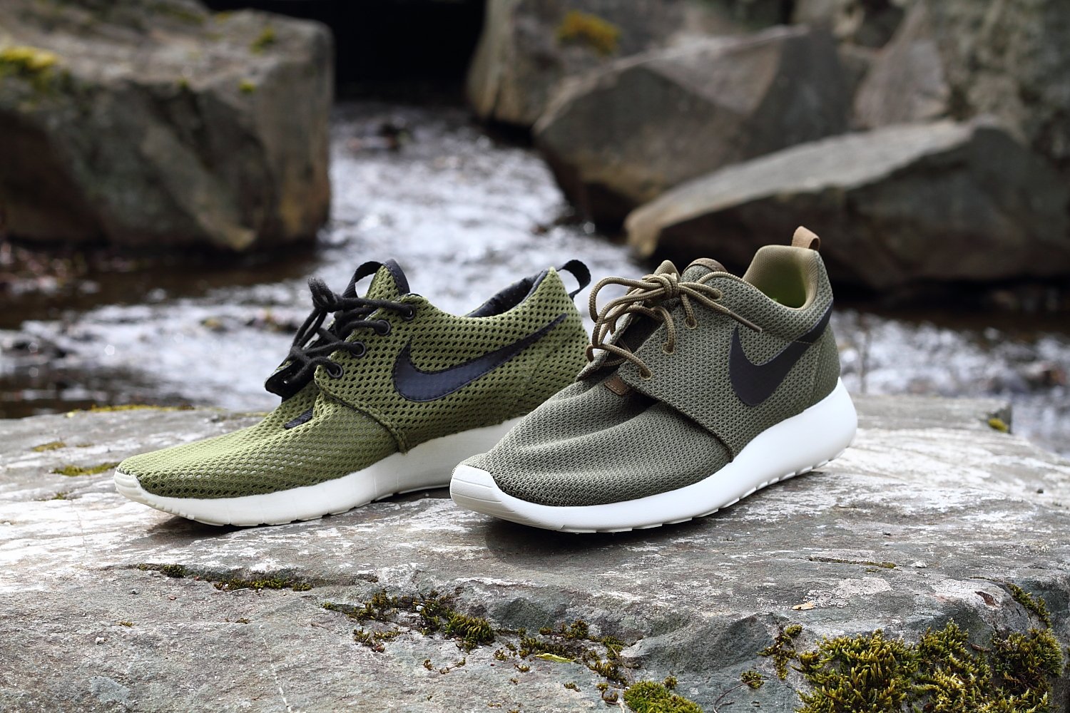 ROSHE7.JPG