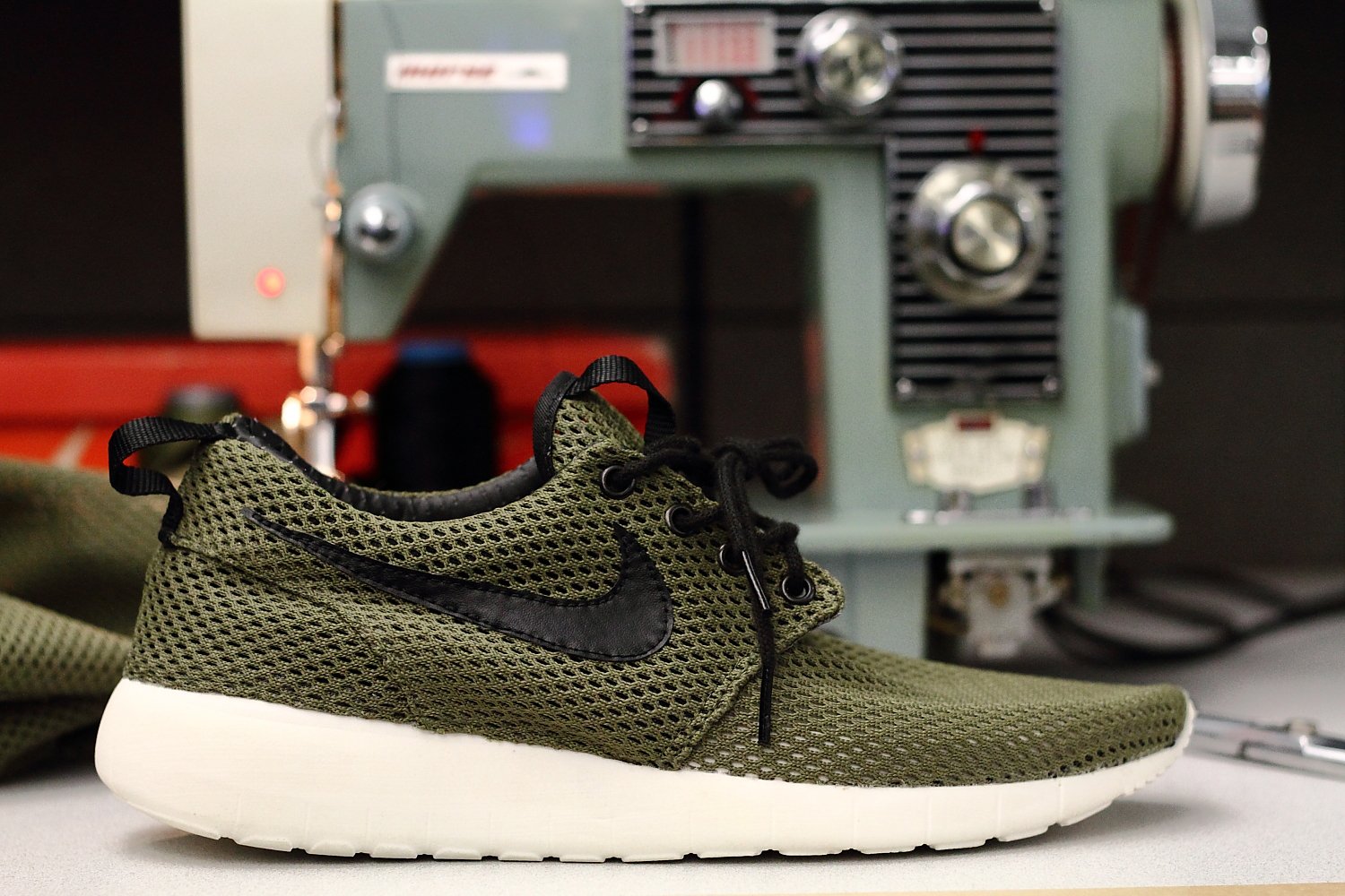 ROSHE1.JPG