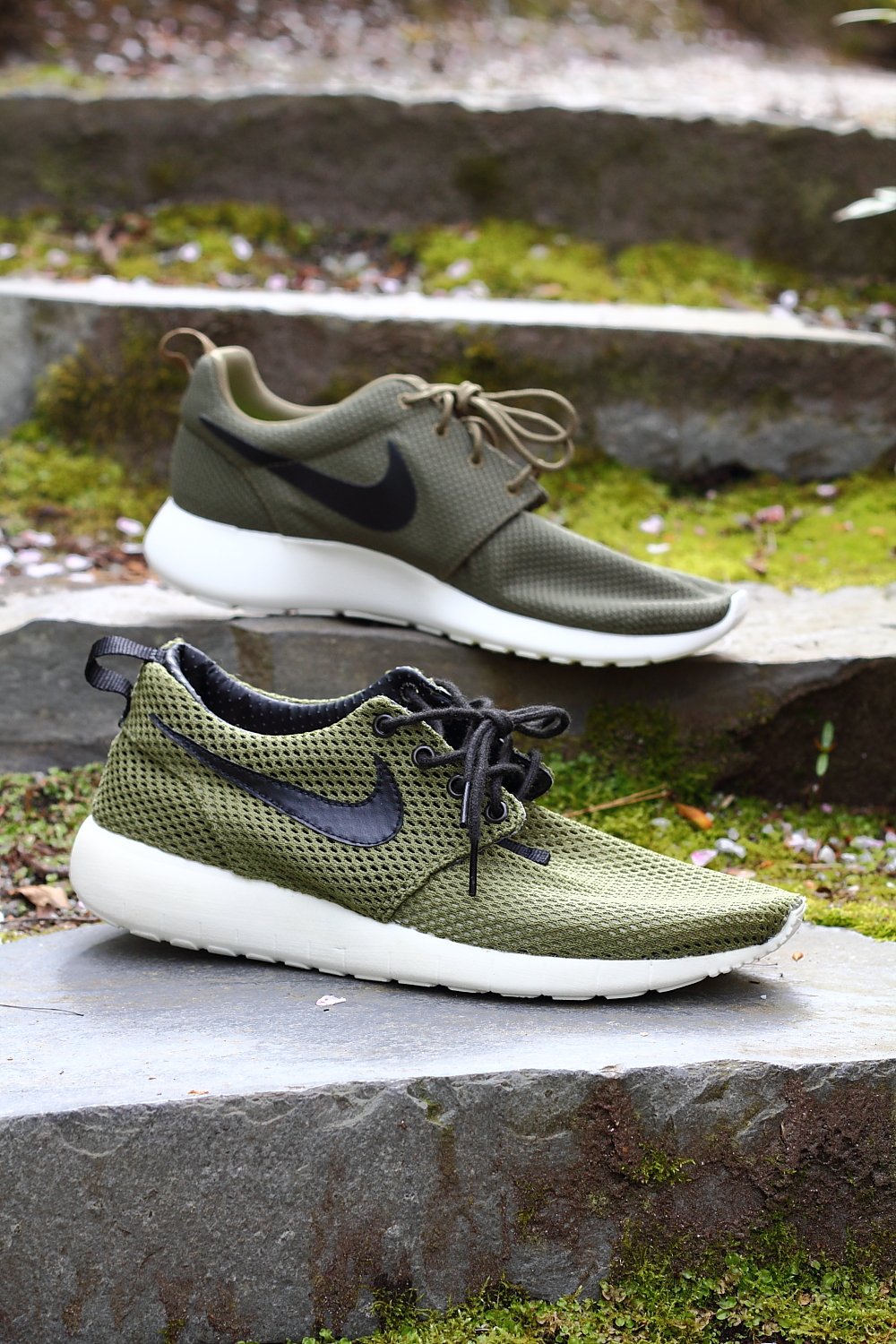 ROSHE11.JPG
