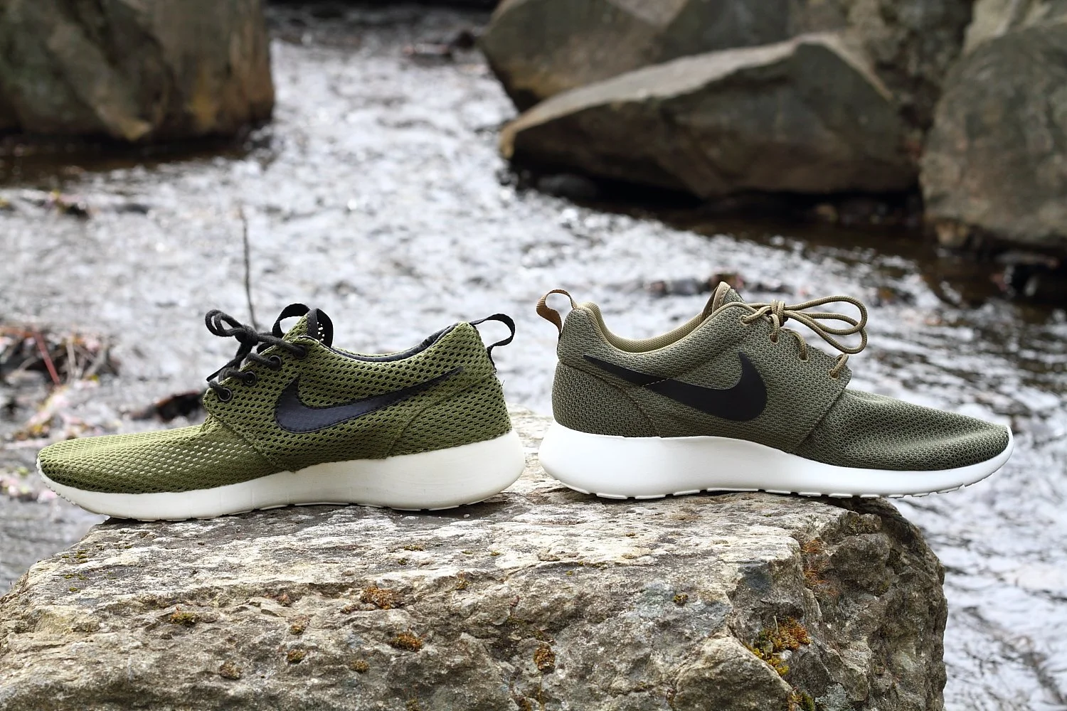 ROSHE6.JPG