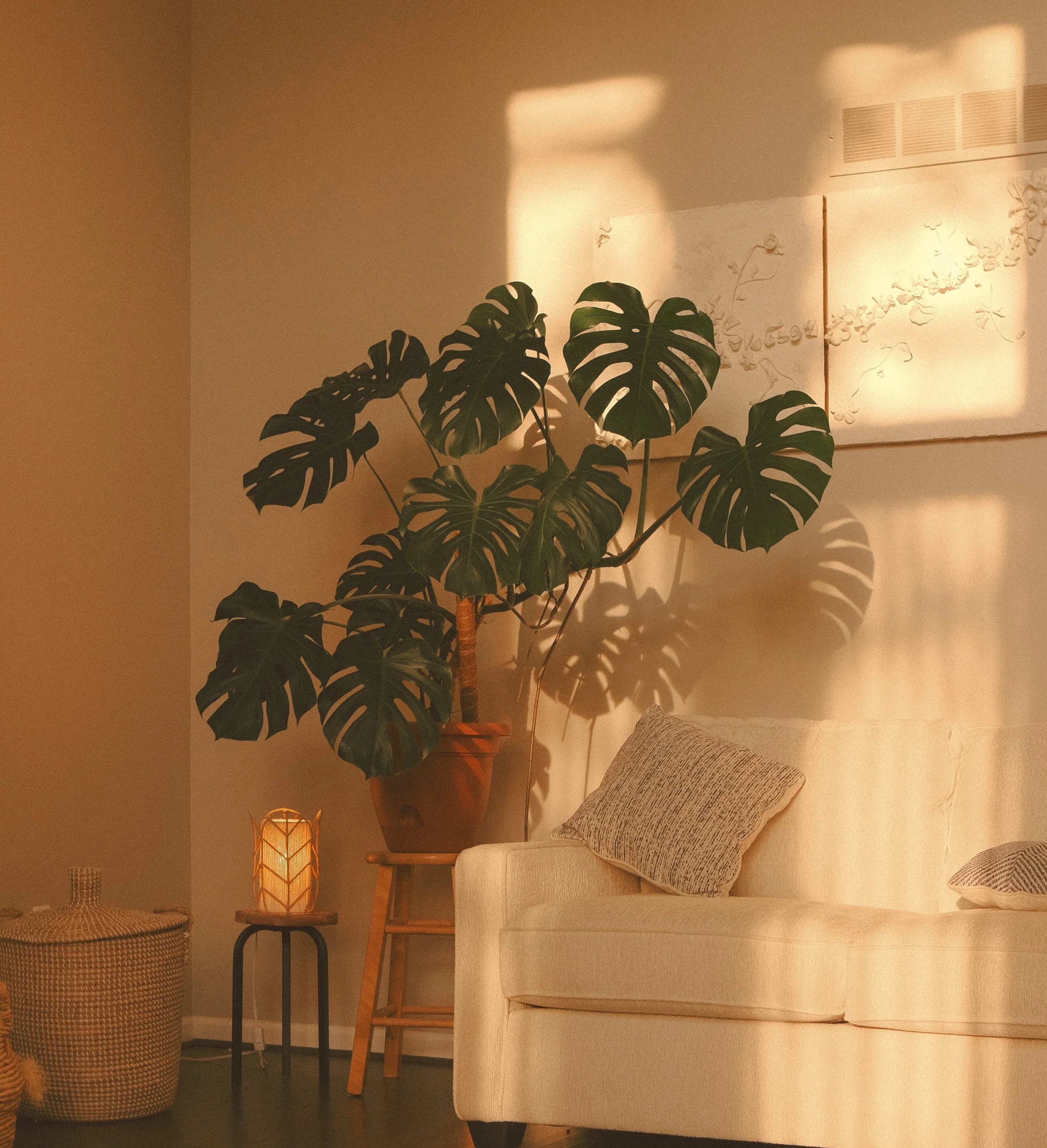 Sunlit interior living room corner with a large potted monstera plant, a beige sofa with pillows, a small side table, a decorative lamp, and wall art.
