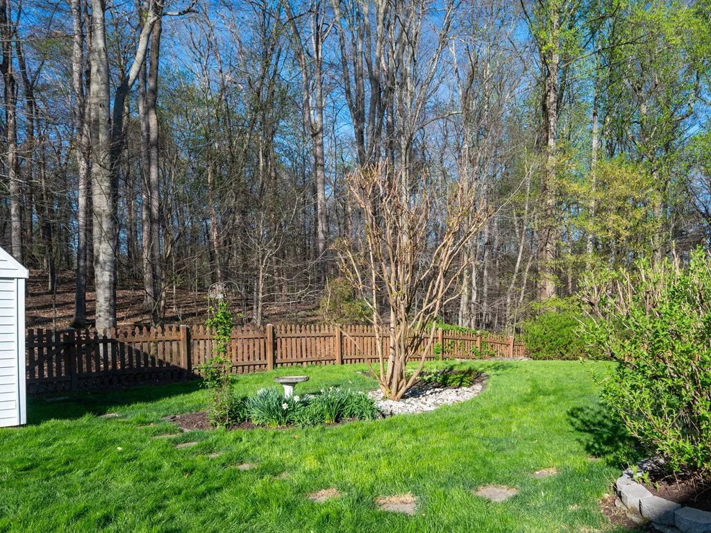 Rear_yard_2_new.jpg