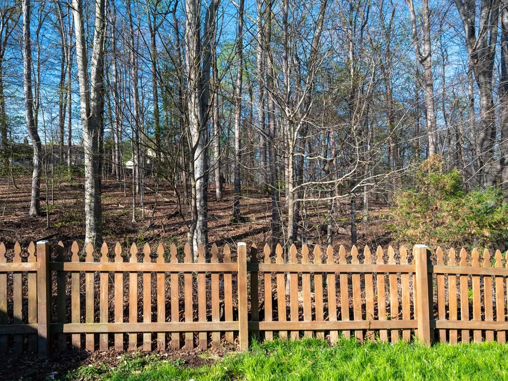 Rear_beyond_fence_new.jpg