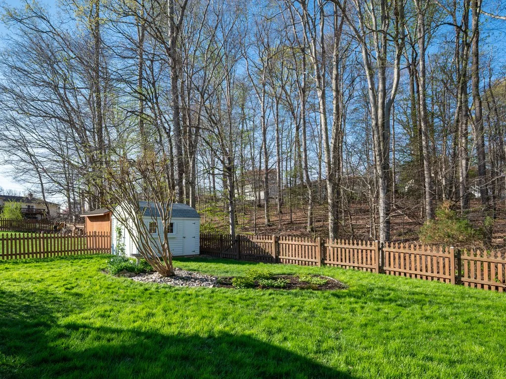 Rear_beyond_fence_2_new.jpg