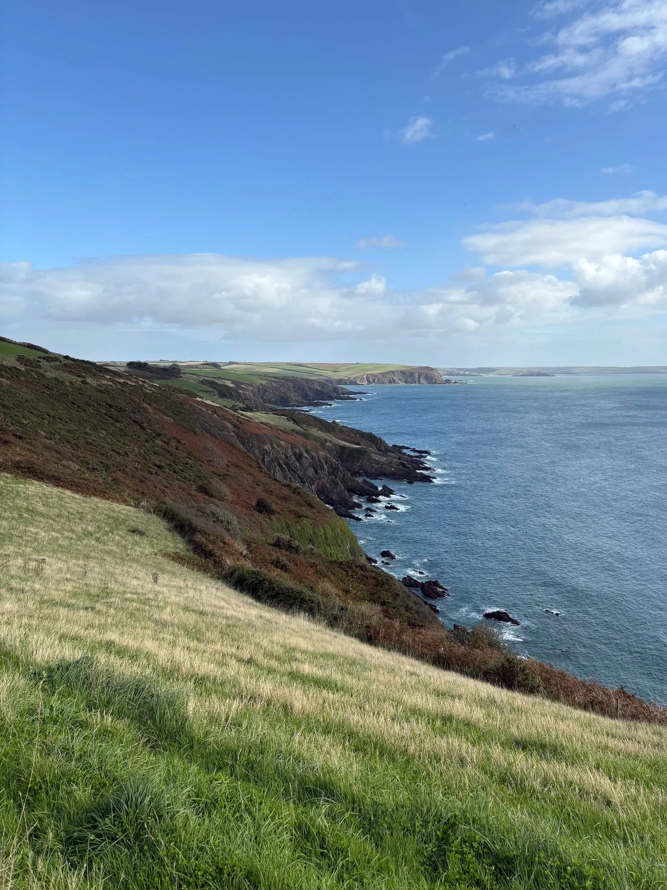 Coastal landscape with grassy hills, rocky cliffs, and the ocean under a partly cloudy blue sky.