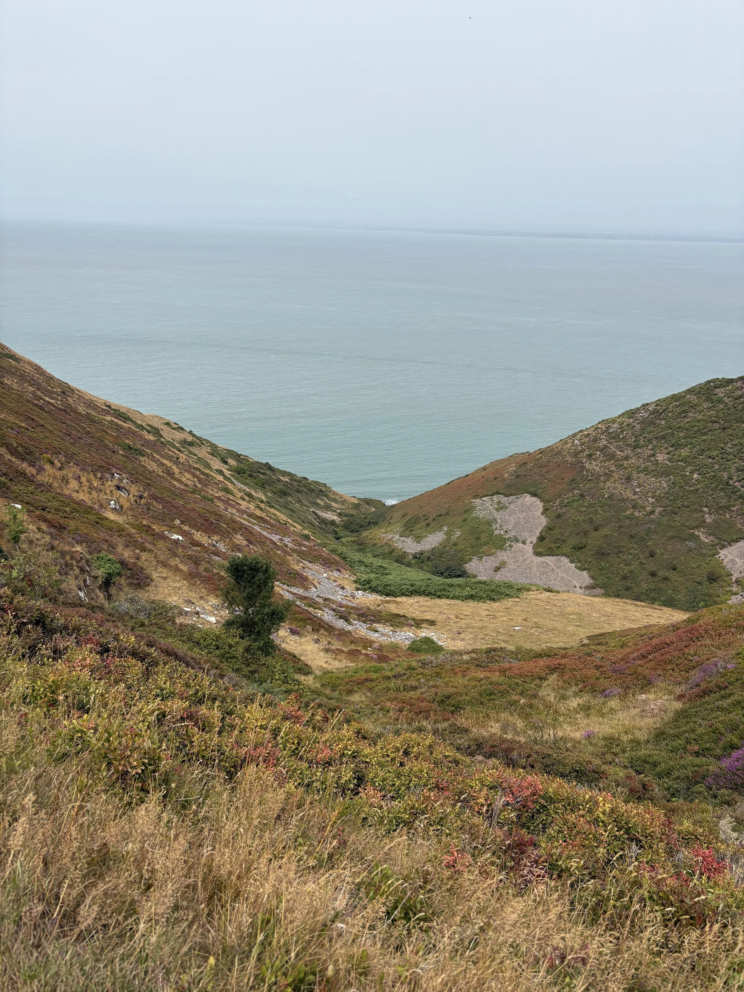 View of rolling hills covered with grass, shrubs, and small plants, overlooking a calm body of water with a cloudy sky.